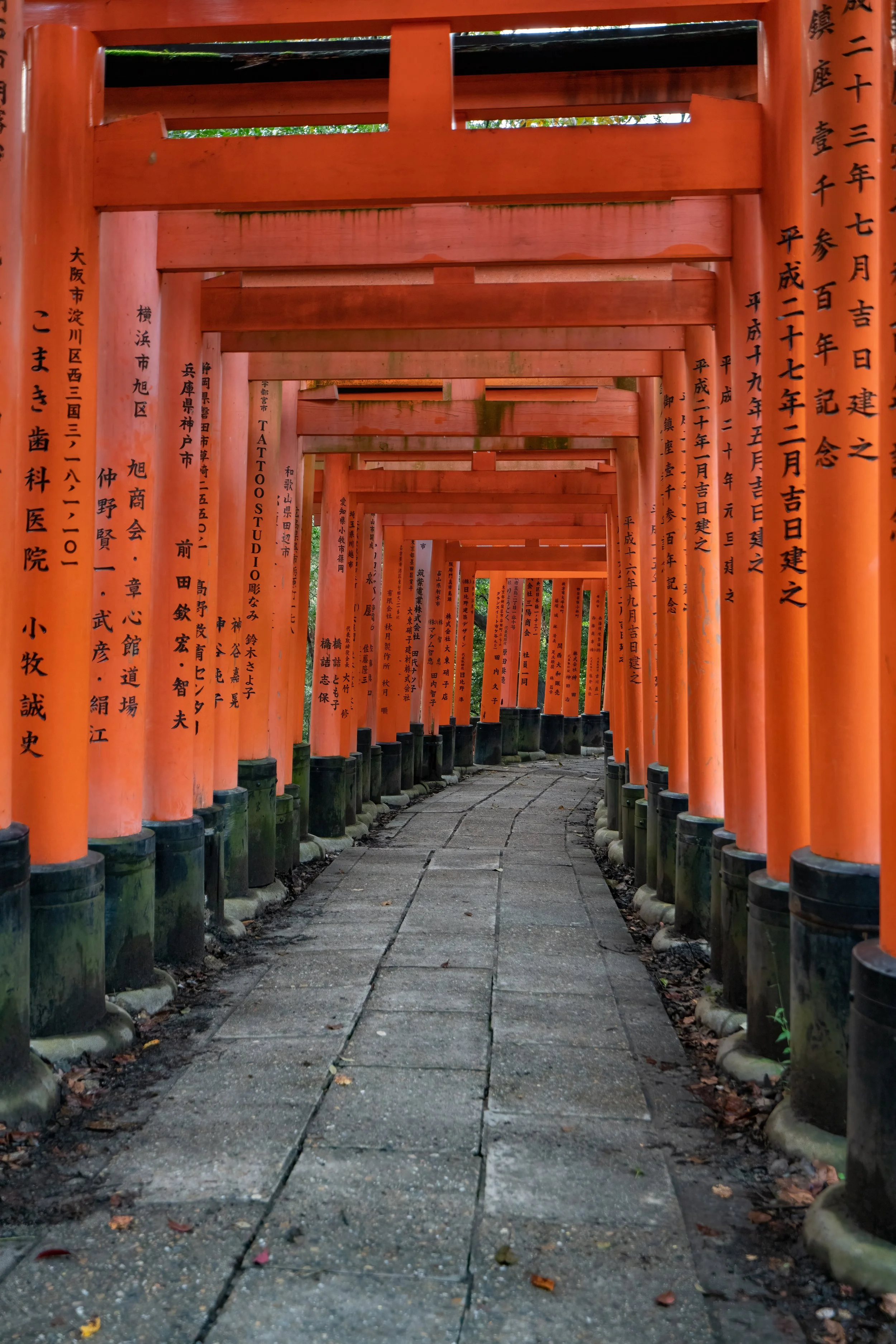 Torii gate - Kyoto, Japan