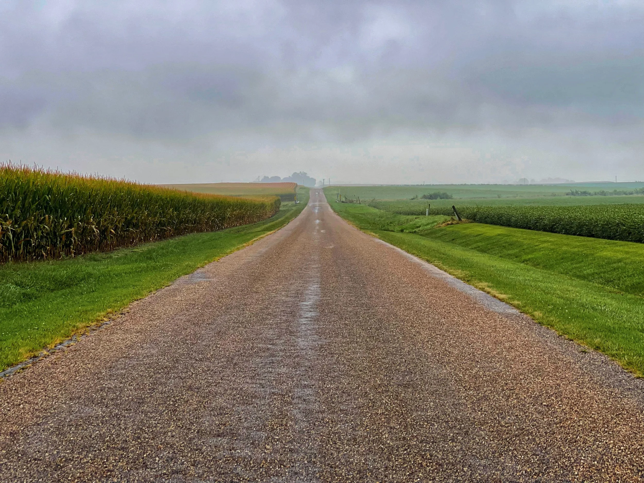 Rainy road across the prairie - McLean County, IL