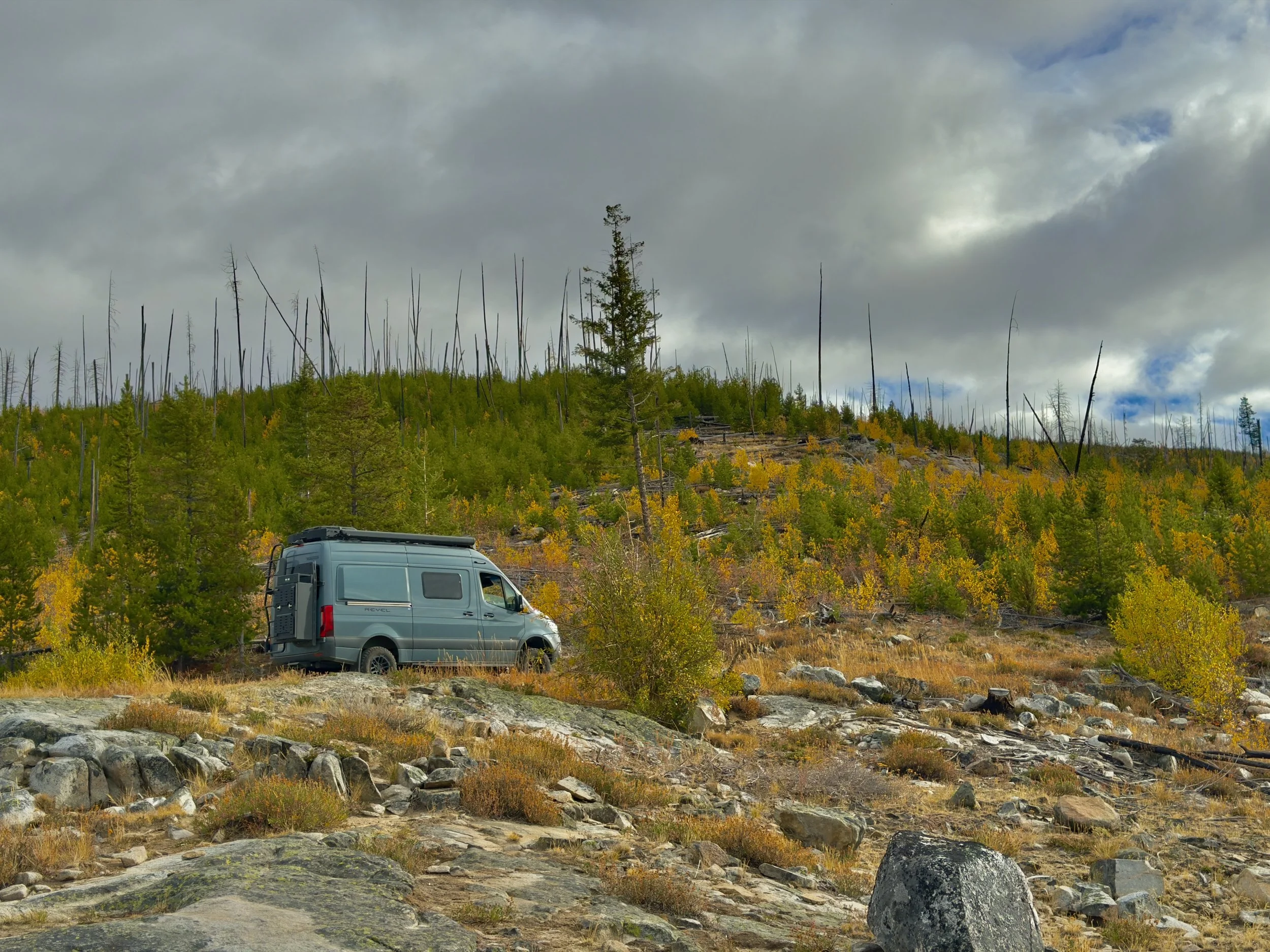USFS Road 37 - Okanogan County, WA