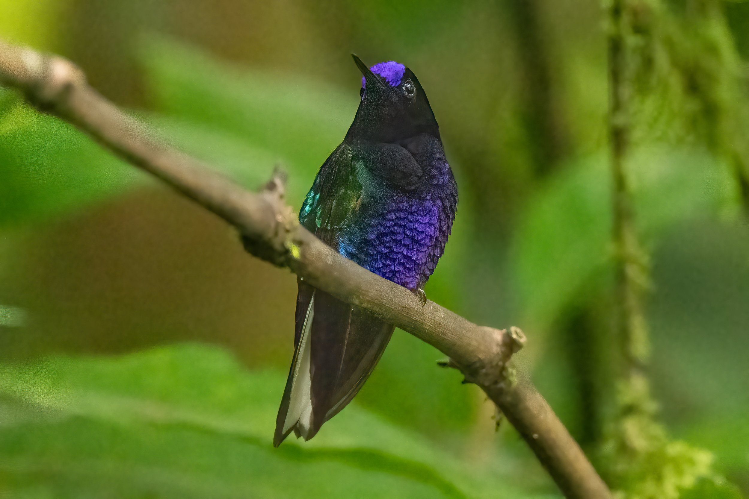 20230525-DSC05171-Edit-Edit.jpg