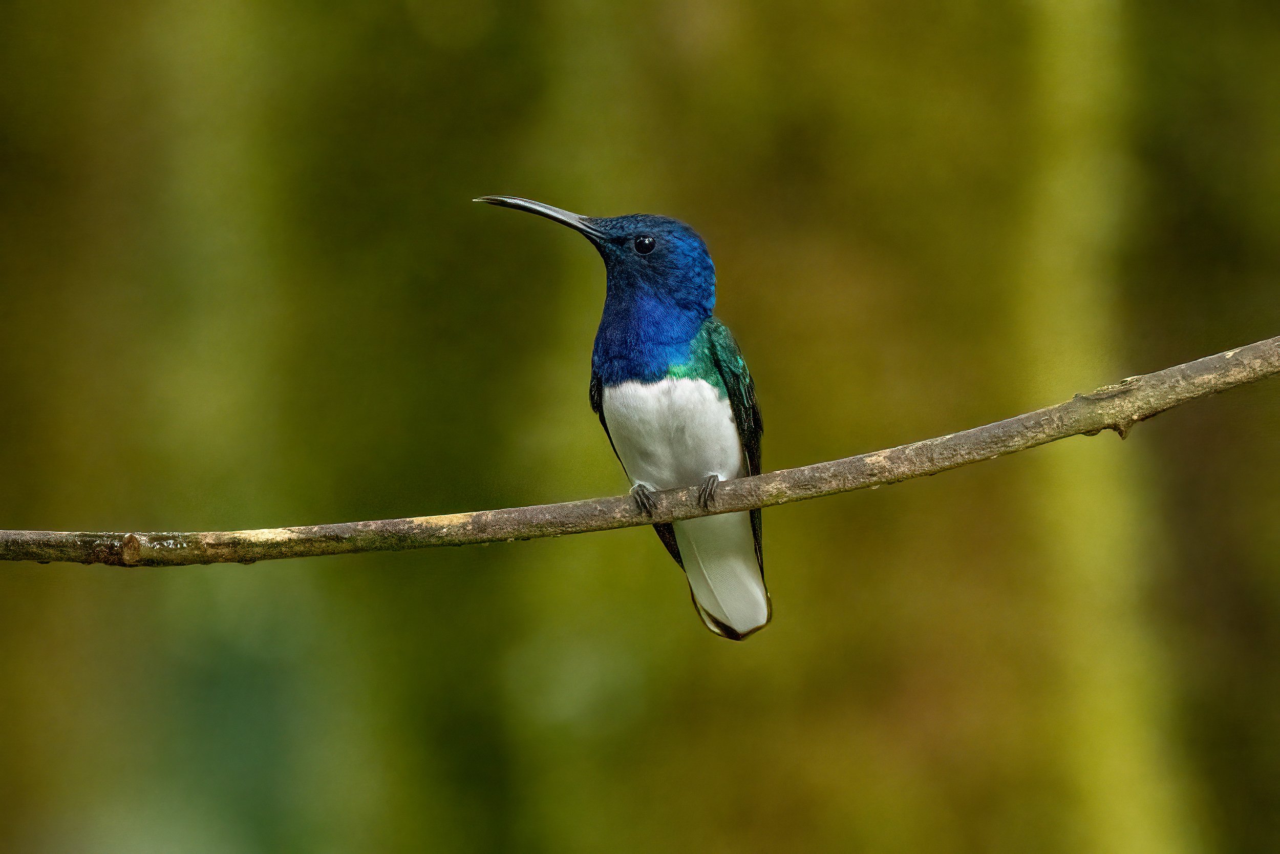 20230525-DSC04615-Edit-Edit.jpg
