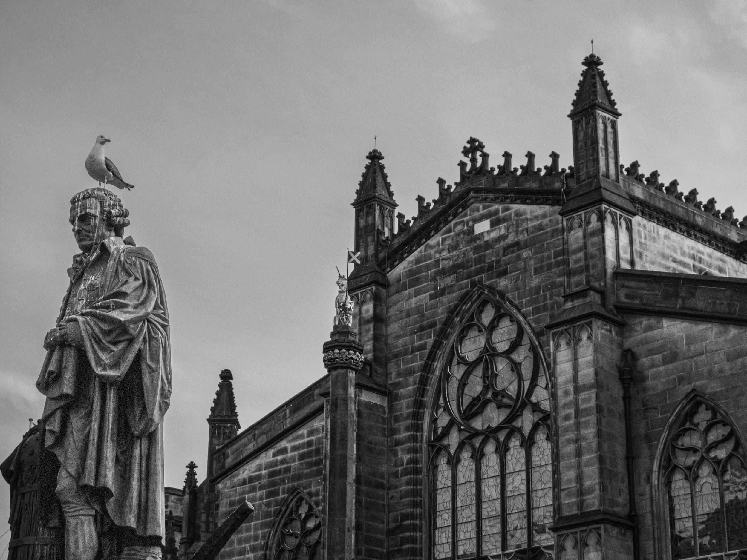 Statue and gull - Edinburgh, Scotland