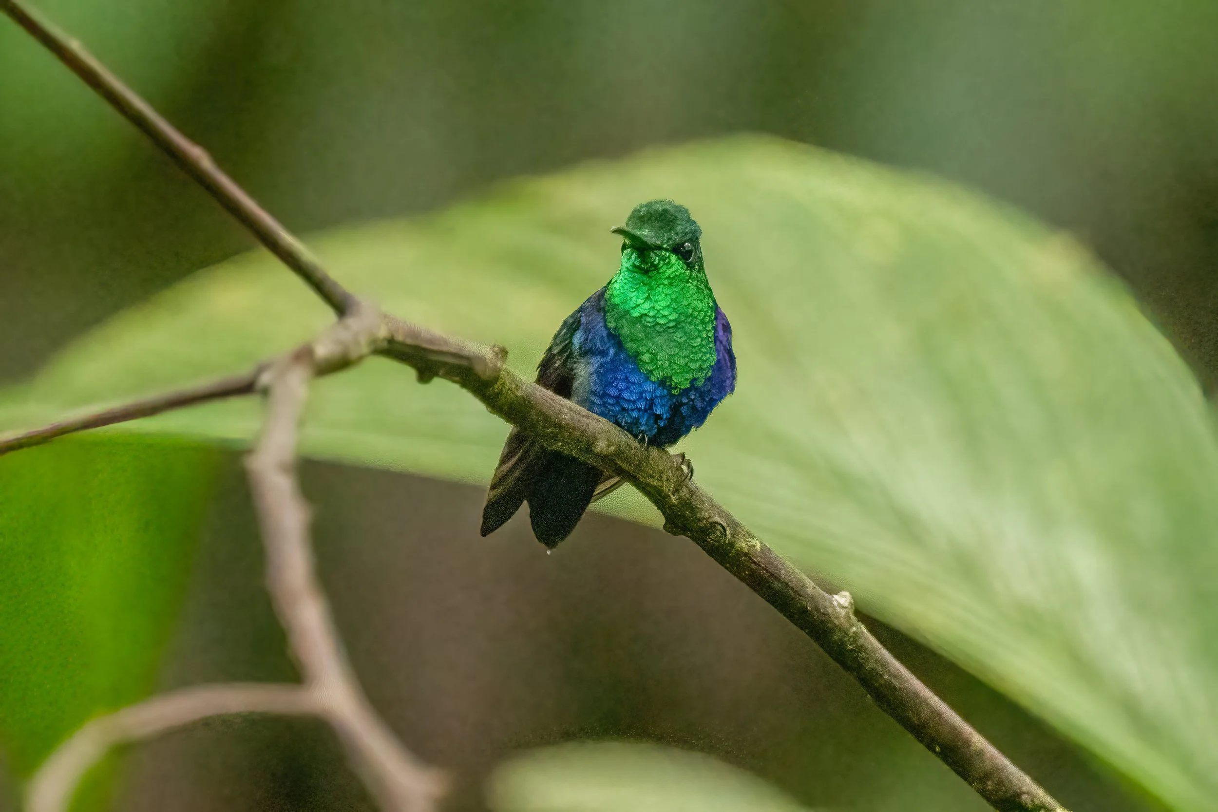 20230525-DSC04686-Edit-Edit.jpg
