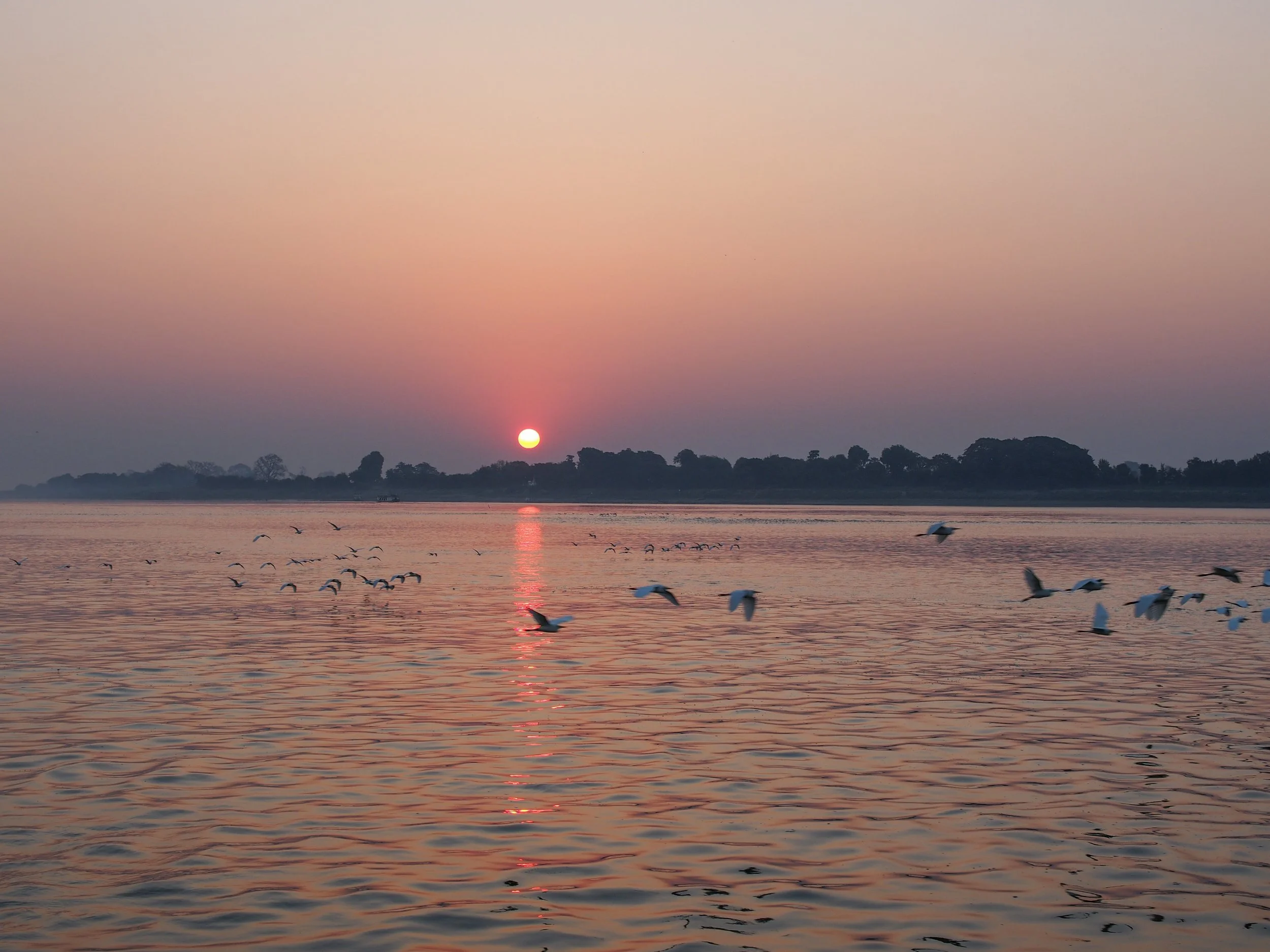 Birds at dusk - Irrawaddy River, Burma