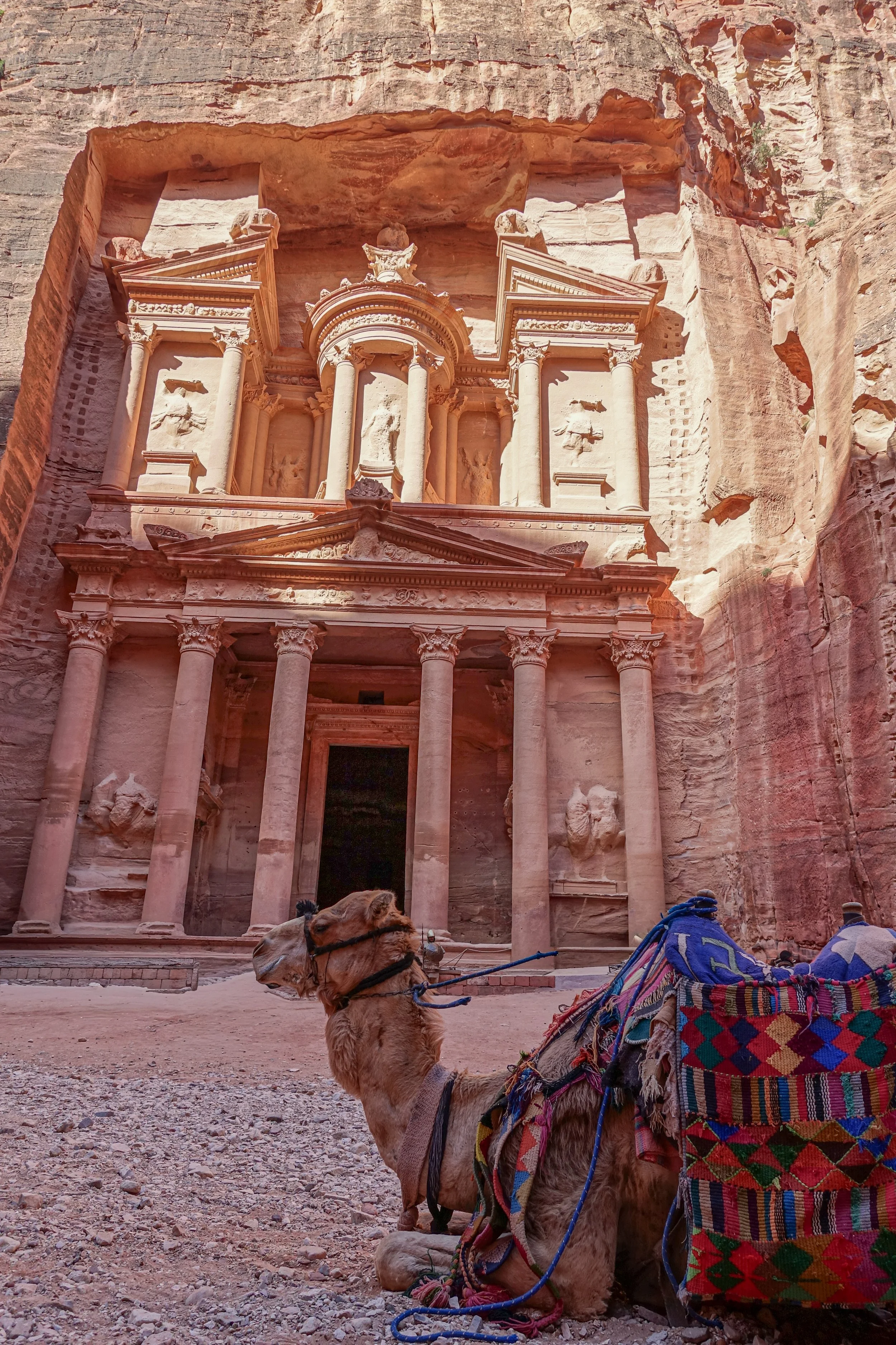 Camel at the Treasury - Petra, Jordan