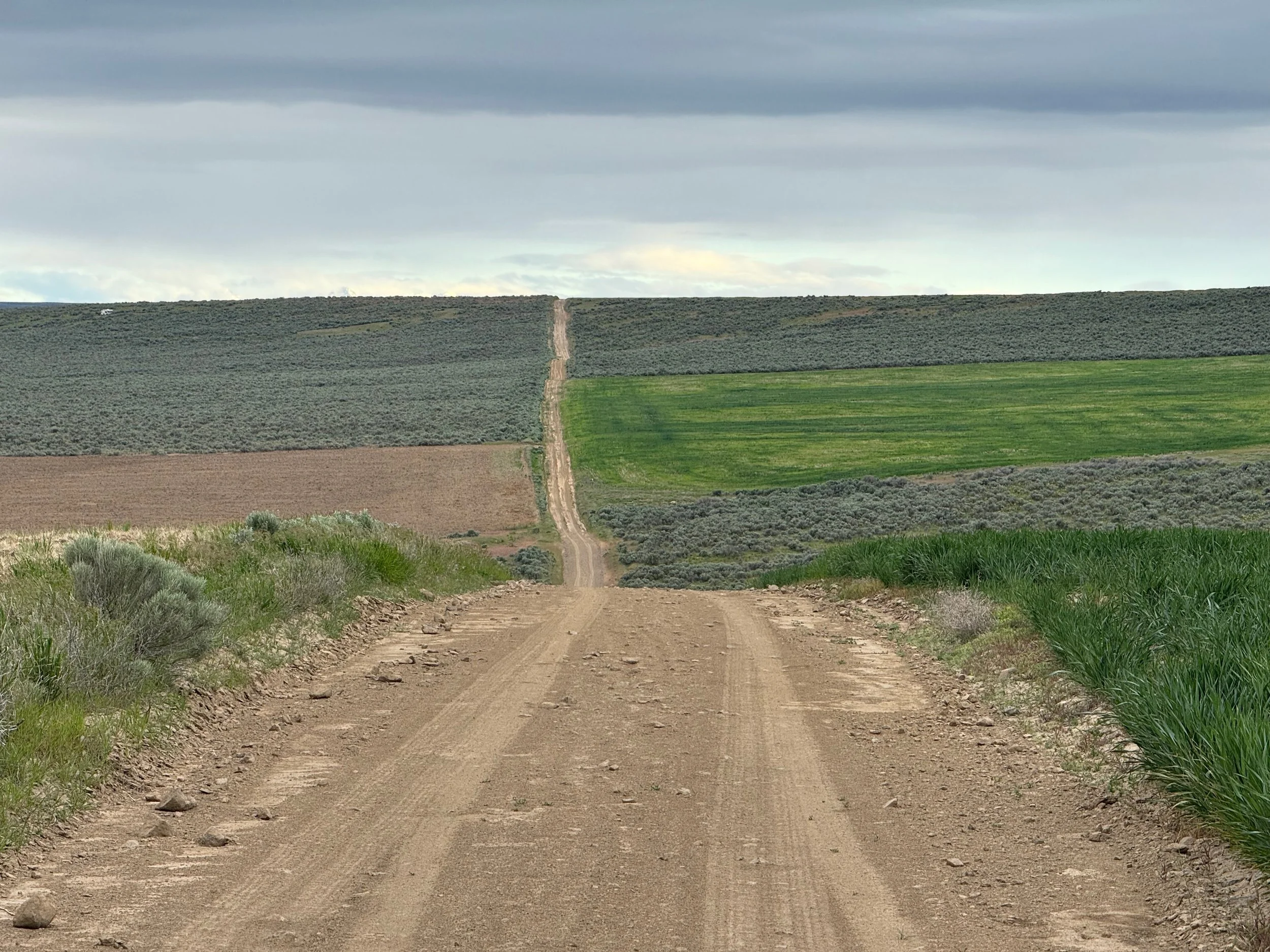 Back road on the Waterville Plateau - Douglas County, WA