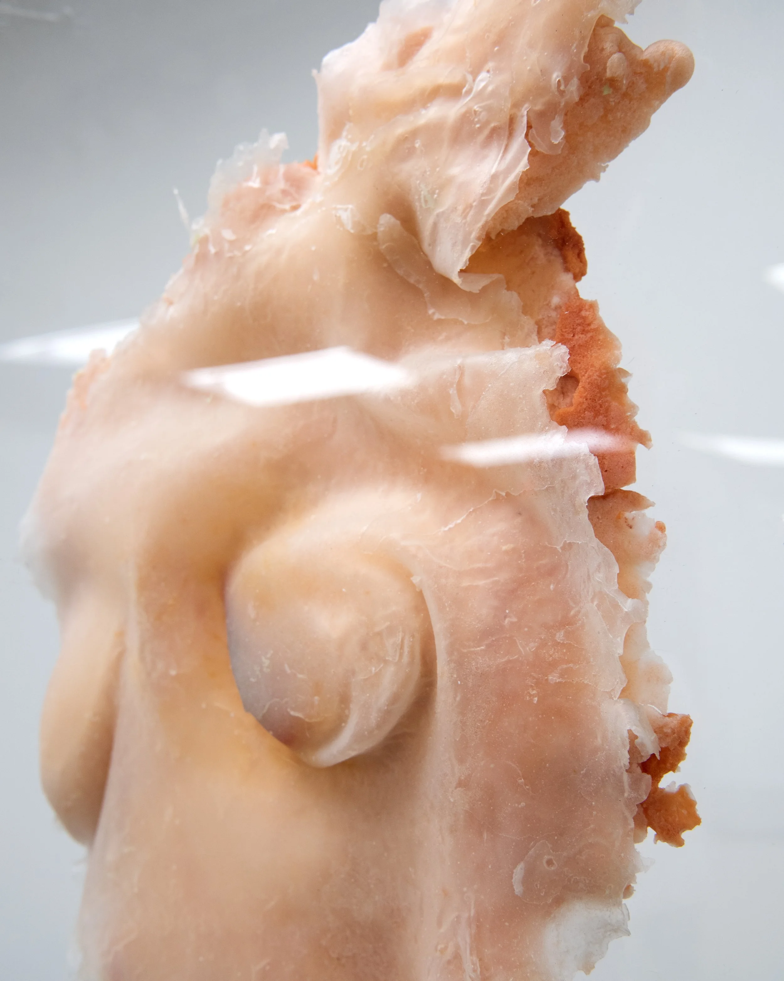press_breast copy.jpg