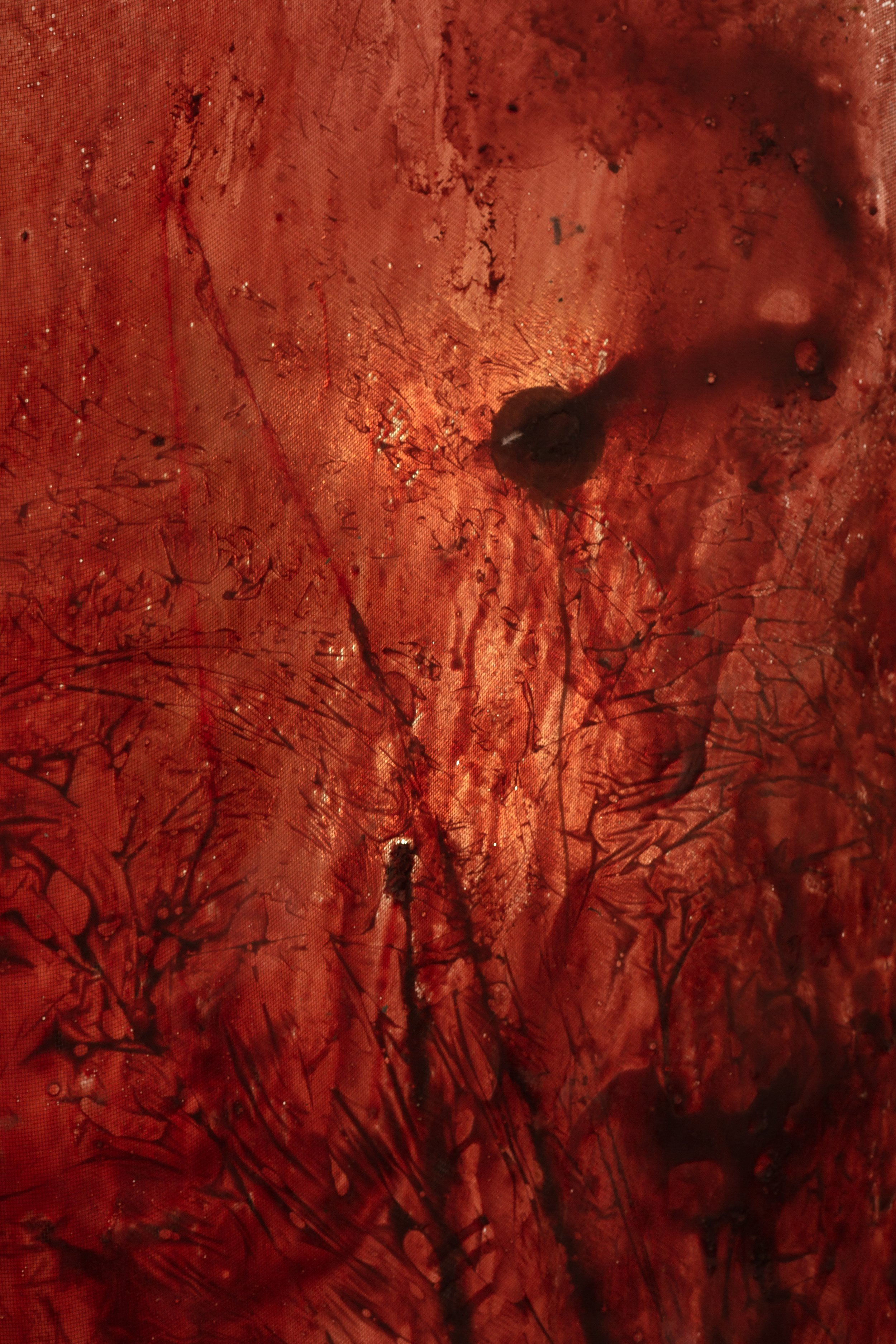CFS (Sonic Flesh), 2026
