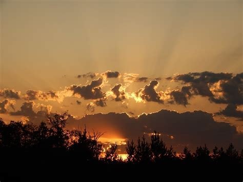 Hymns of Praise at Dawn