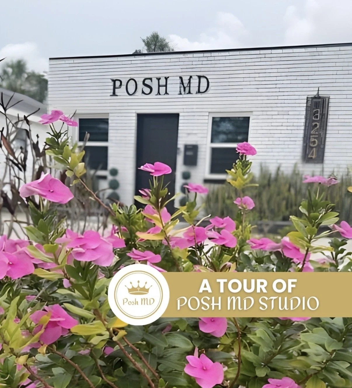 Why the Space Matters: Inside Posh MD Studio