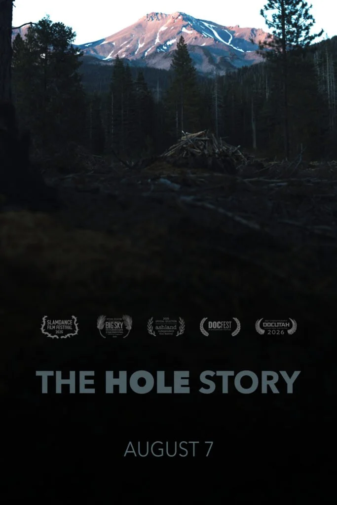 Mystery Movie Night: The Hole Story
