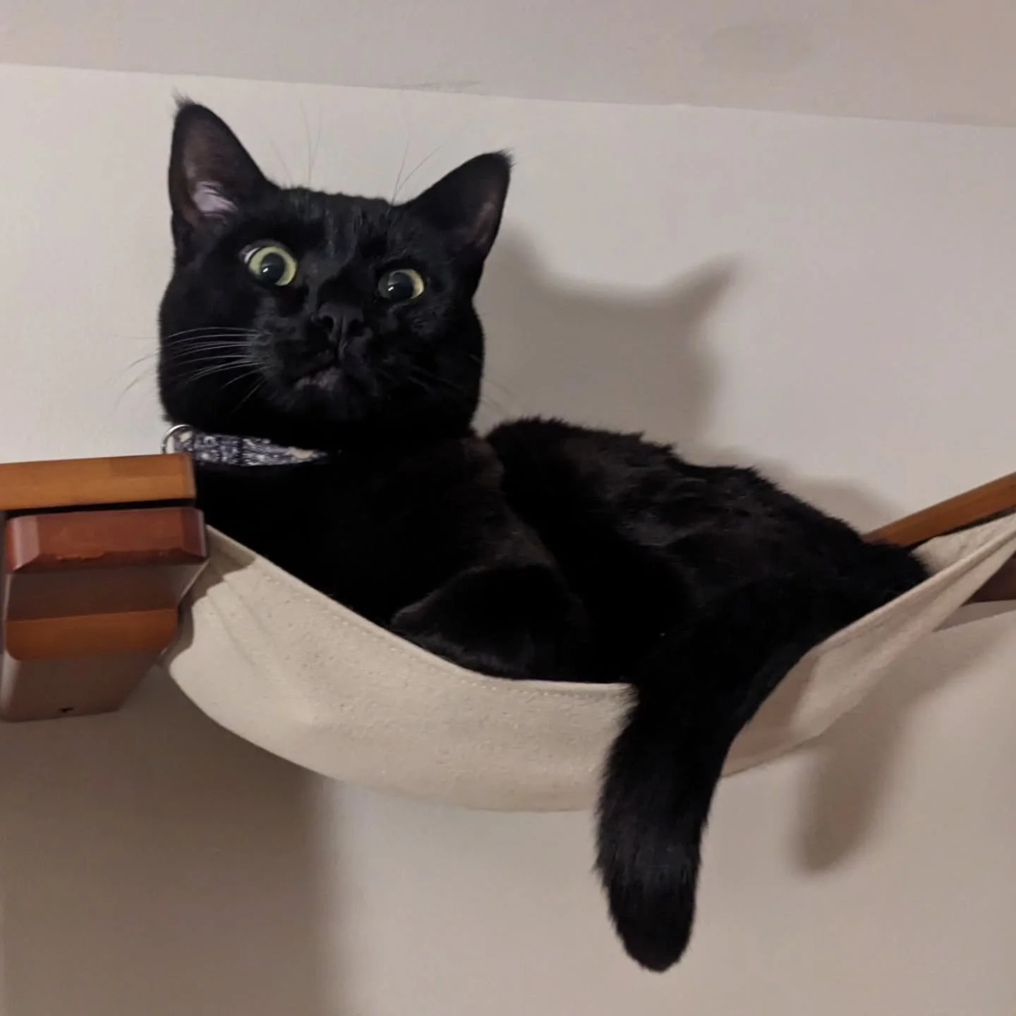 he watches from on high