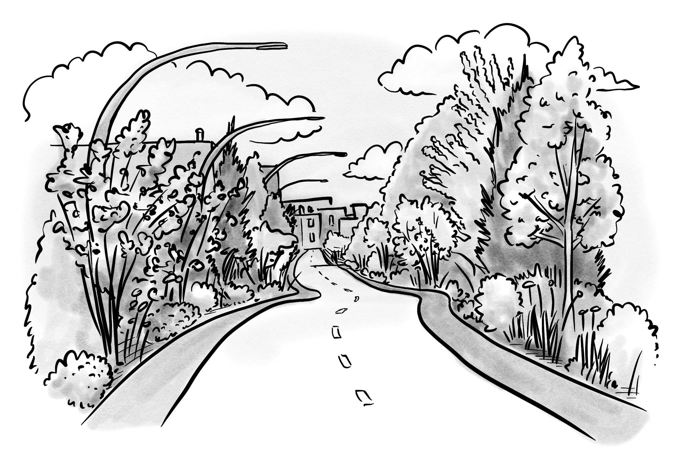 trail.jpg