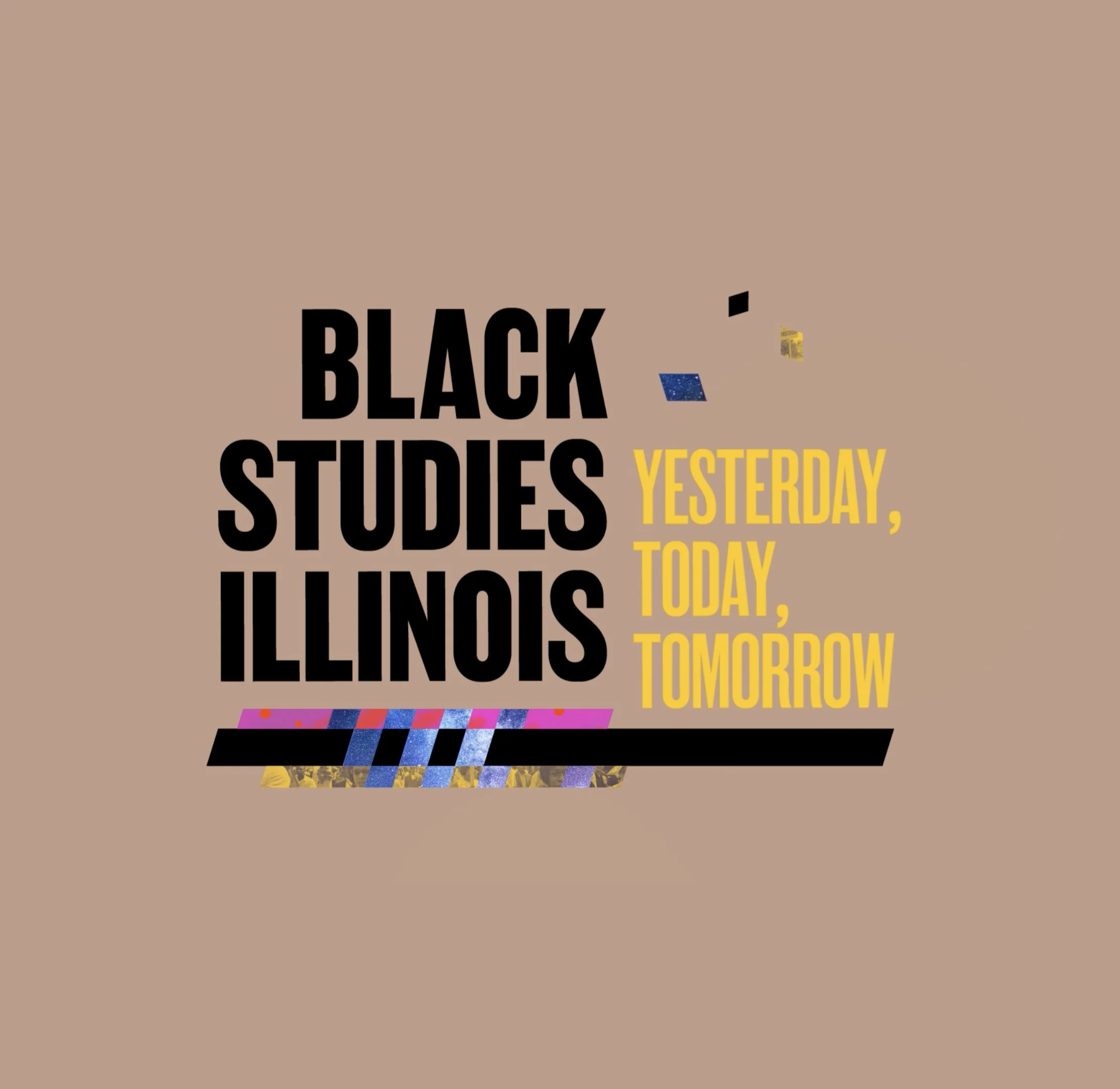 Black Studies Illinois