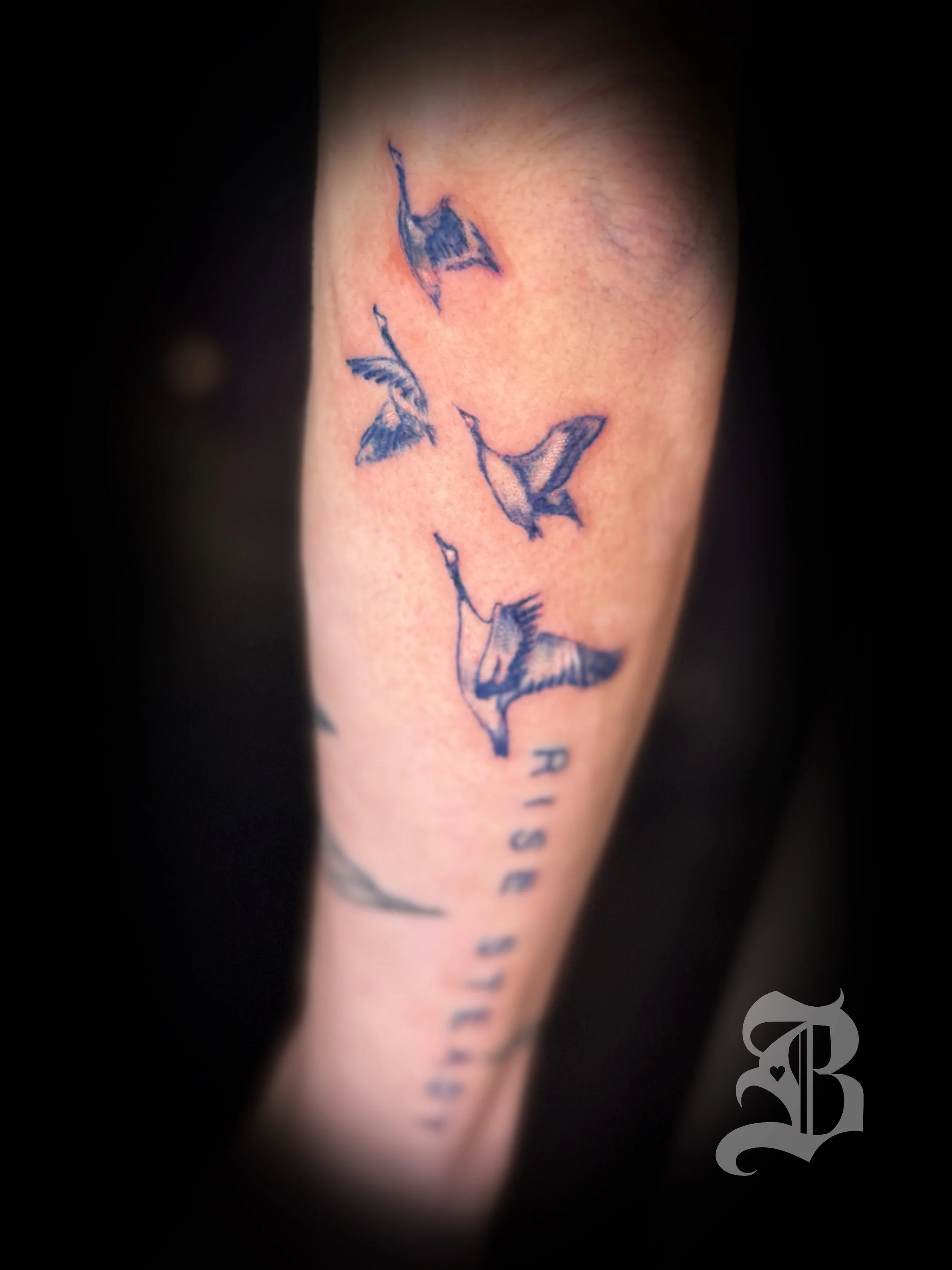 Mary Oliver's poem Tattoo Flying Geese Rise Steady
