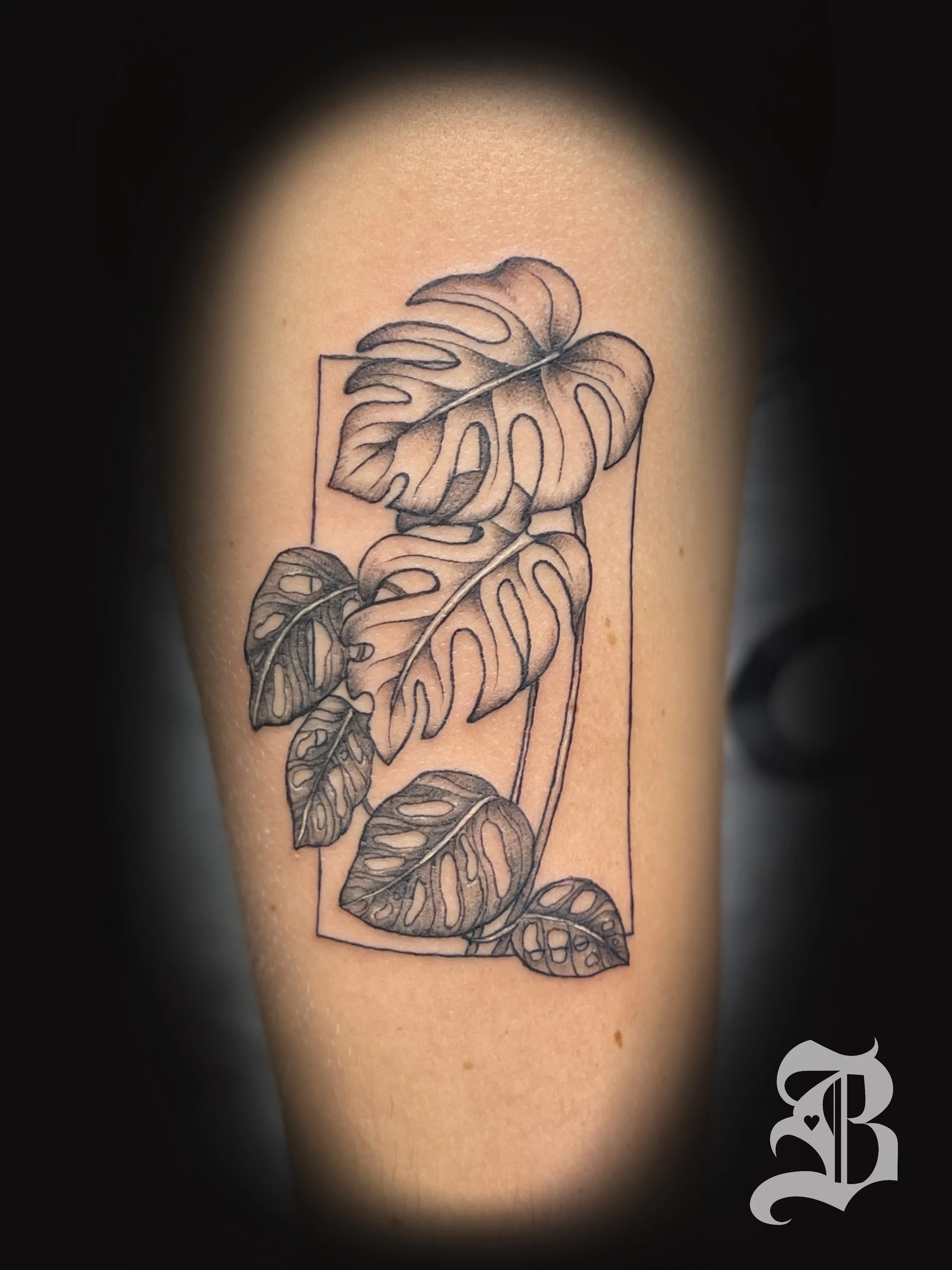 Monstera illustrated fine line black and gray arm tattoo Boston Massachusetts 