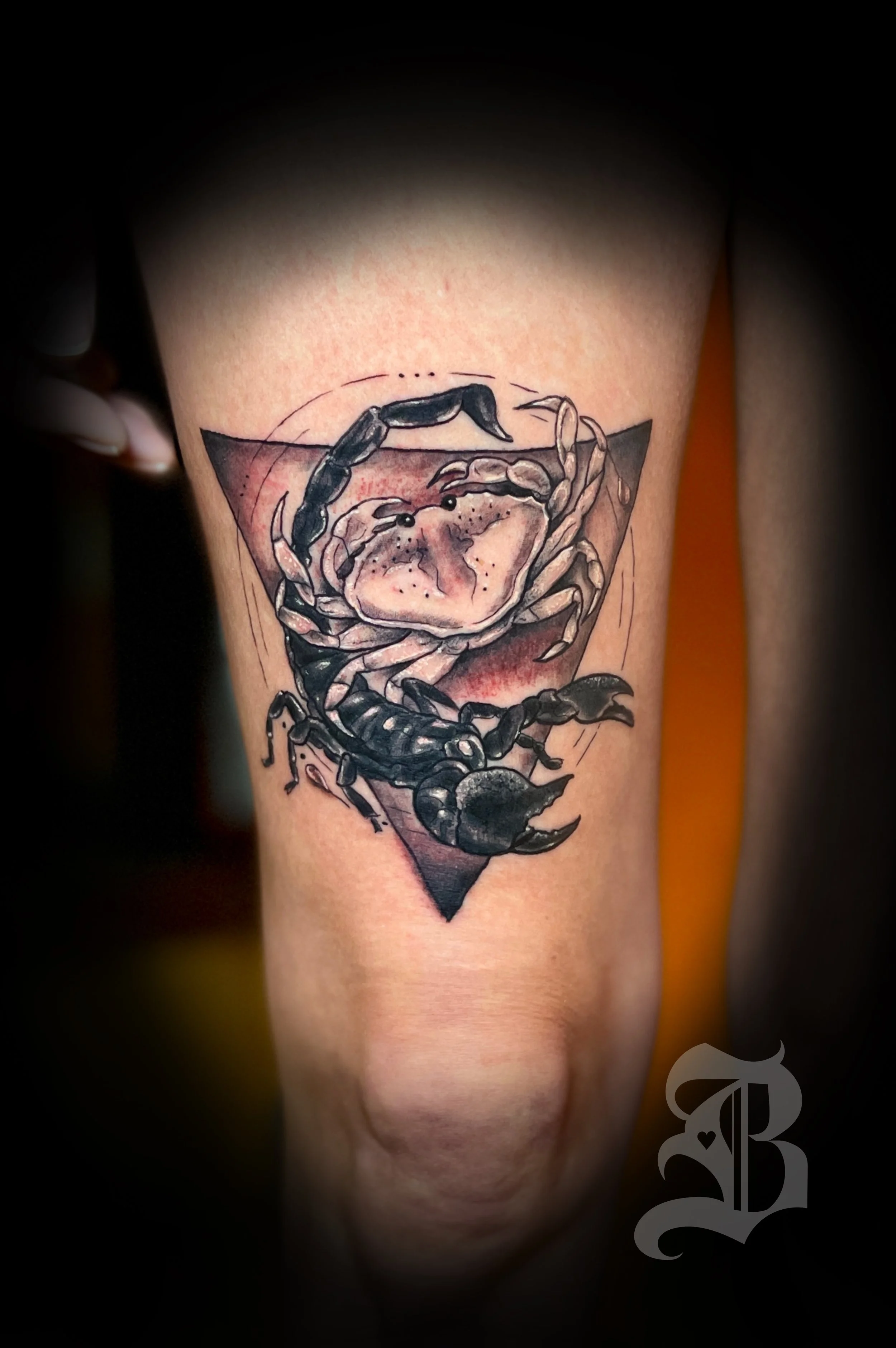 Scorpio Cancer astrology leg black and gray tattoo illustrated Boston Massachusetts 