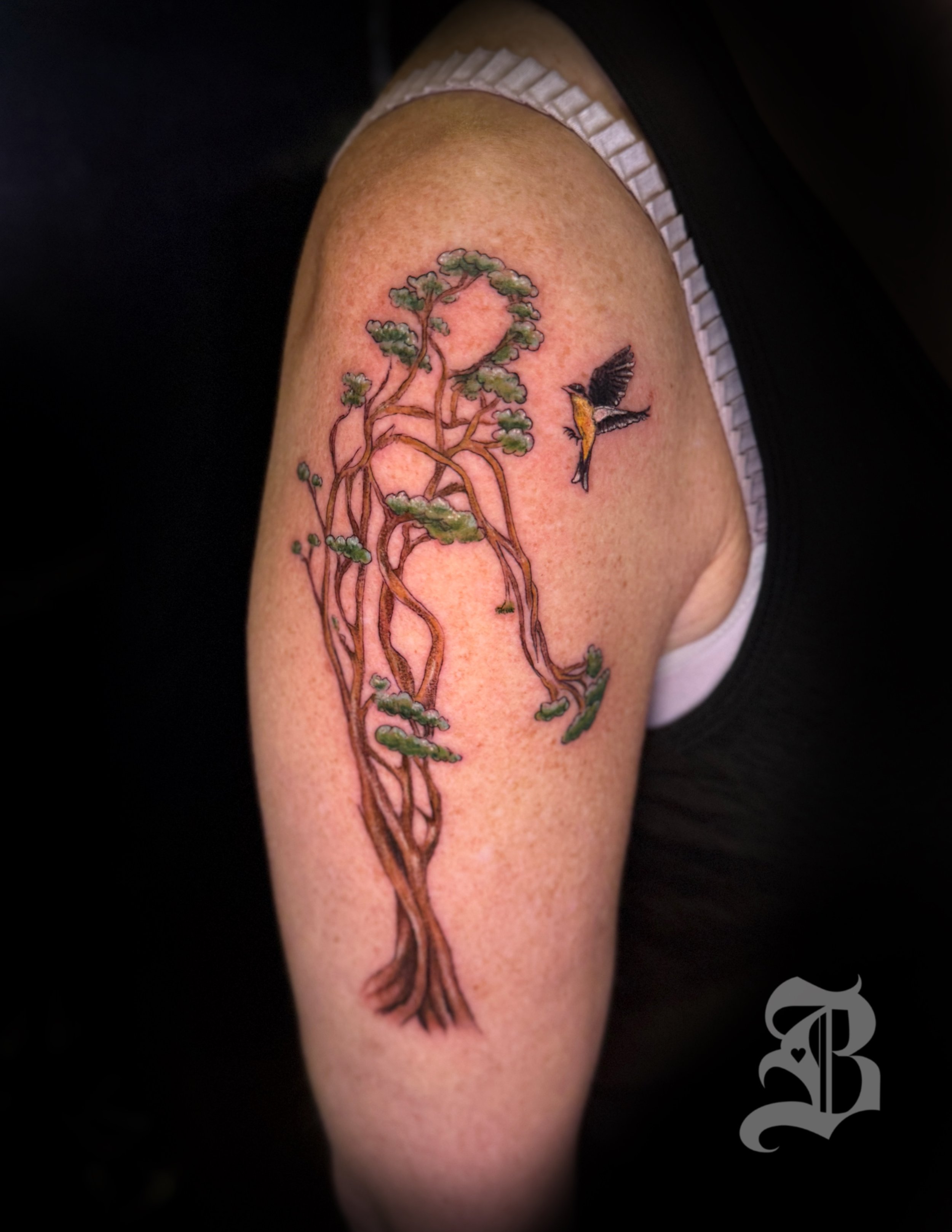Tattoo of a pine tree with a flying bird on a person's upper arm by Binx inks.