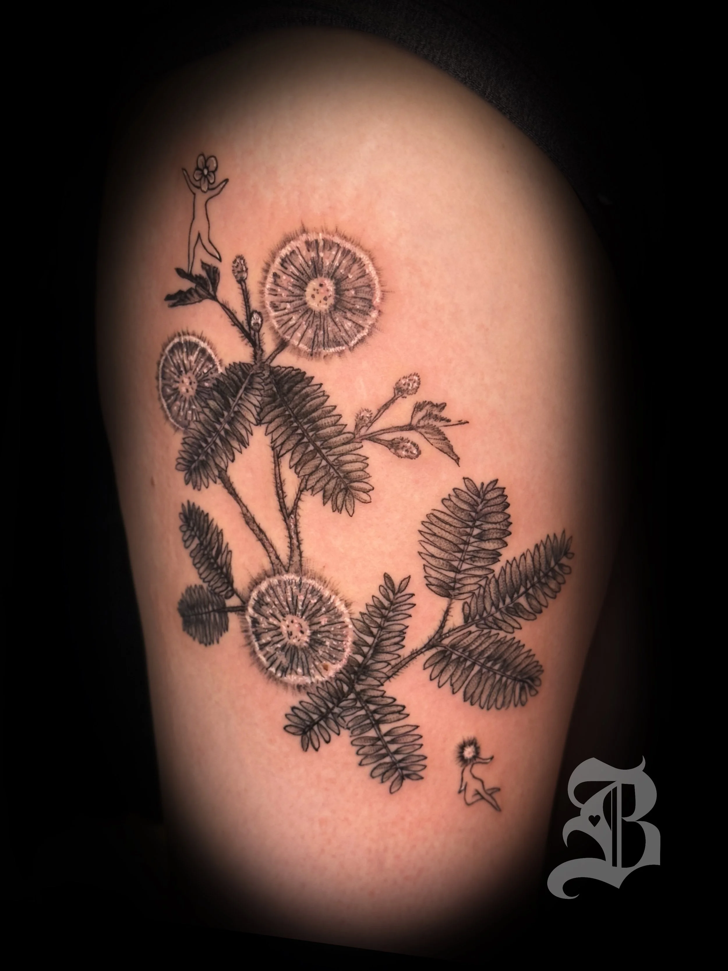 sensitive plant and spirits illustrated fineline black and gray tattoo Boston Massachusetts 