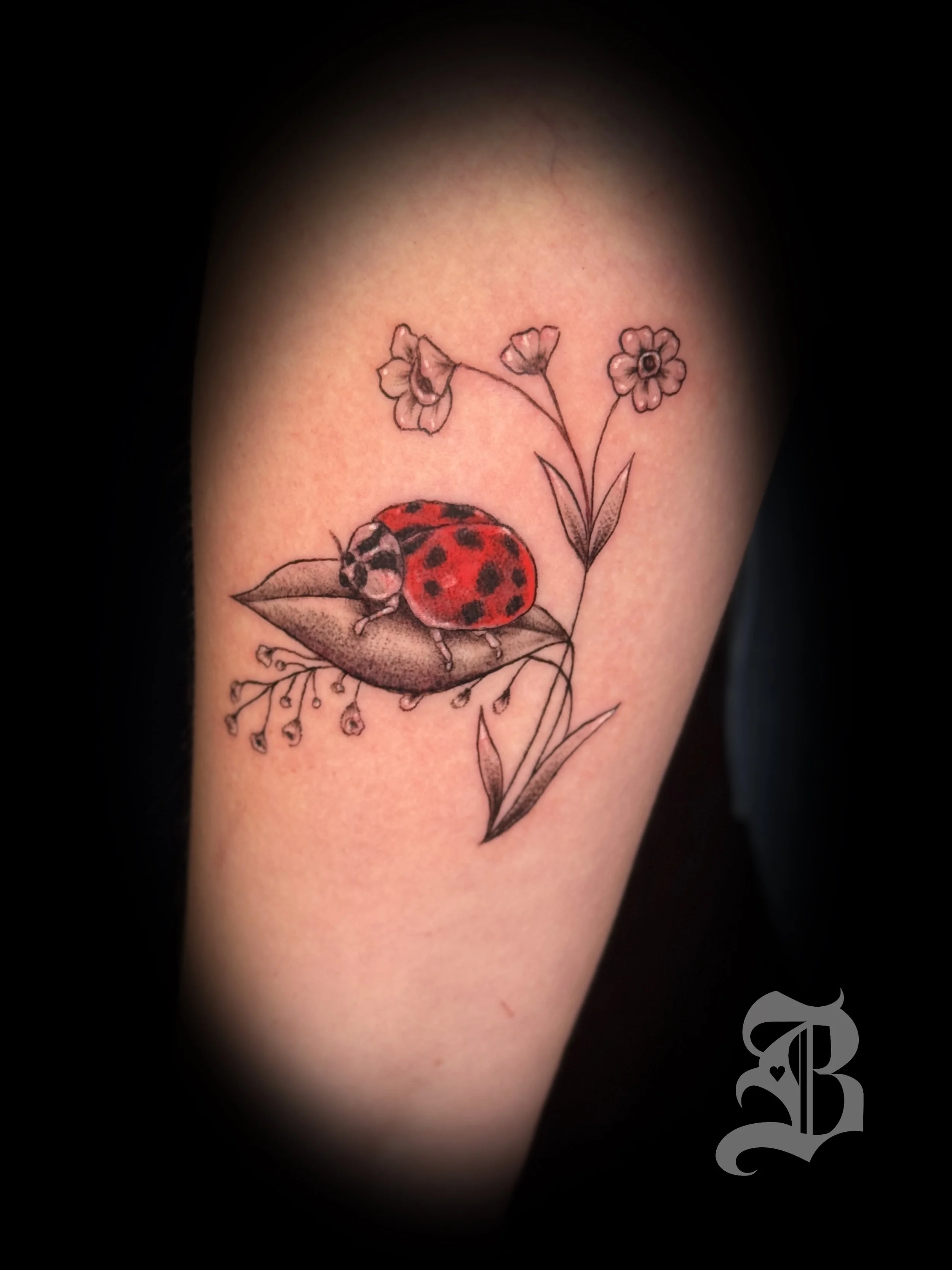 Fine line cute Ladybug and flower stems.