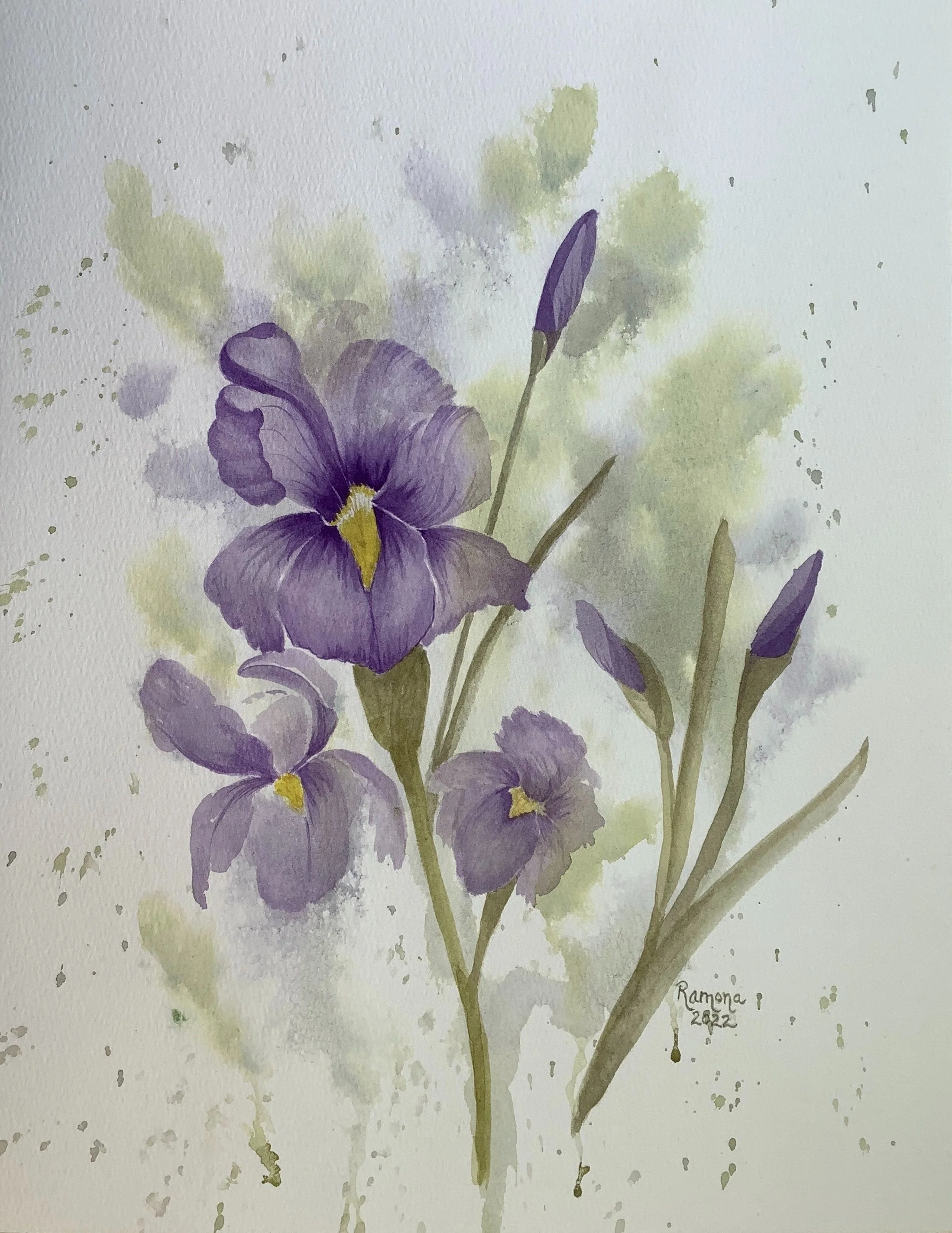 Watercolour Protection Display or Store Your Paintings with Care: 4 Tips to Protect Your ...