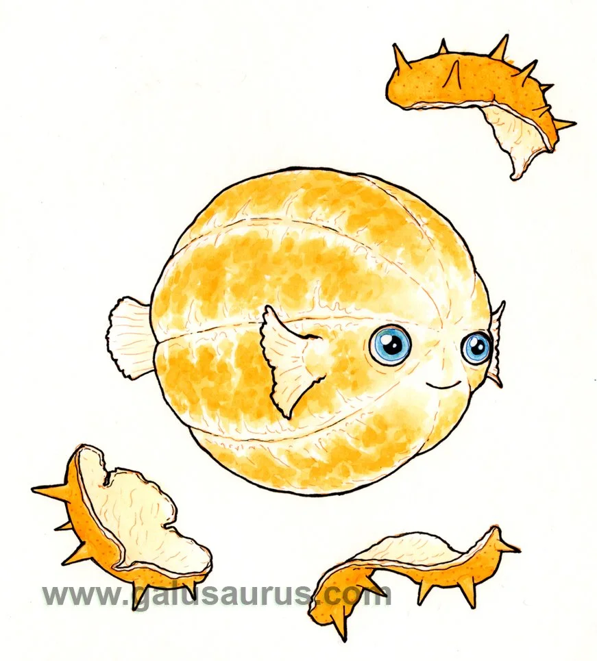 2024-04-pufferfish-b2-WM-small.jpg