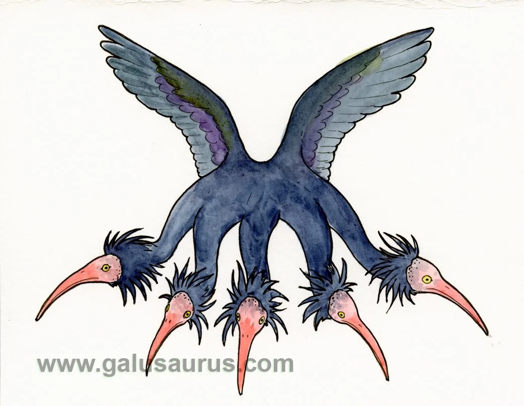 2023-26-ibis-a-WM-small.jpg