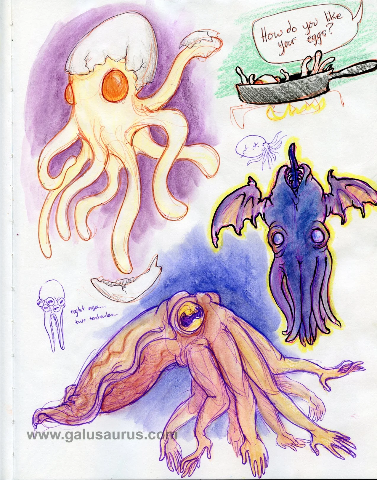 20191cephalopod-WM.jpg