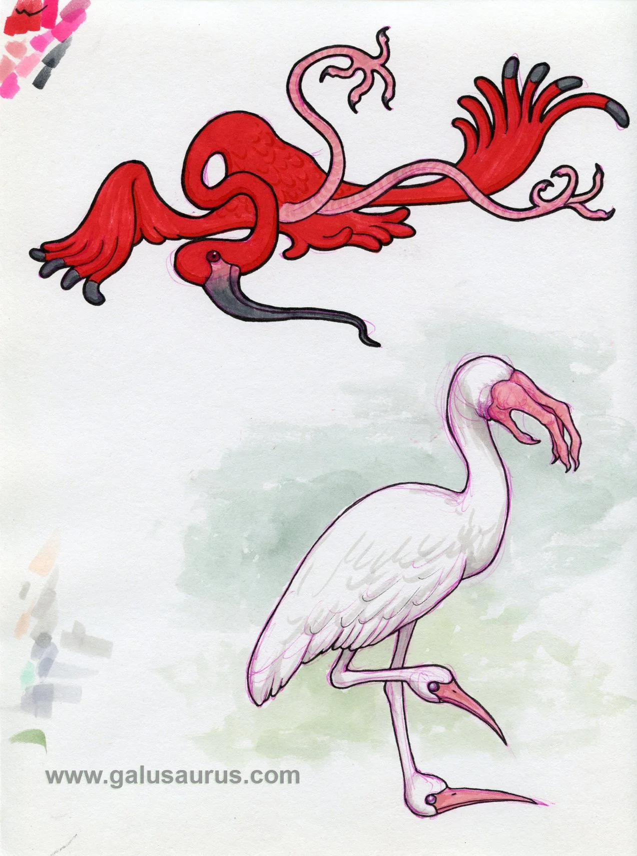 2023-26-ibis-b-WM-small.jpg