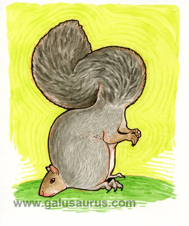 2023-13-squirrel-a-WM-small.jpg