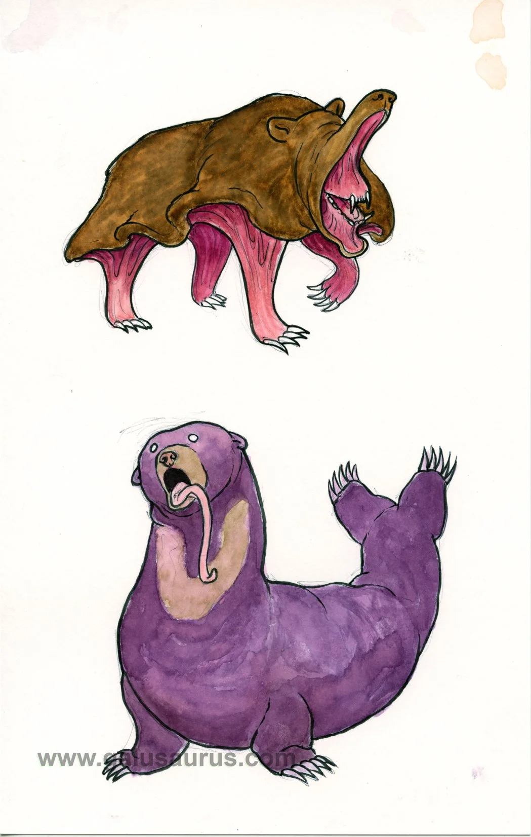 202221-bear-b-WM.jpg