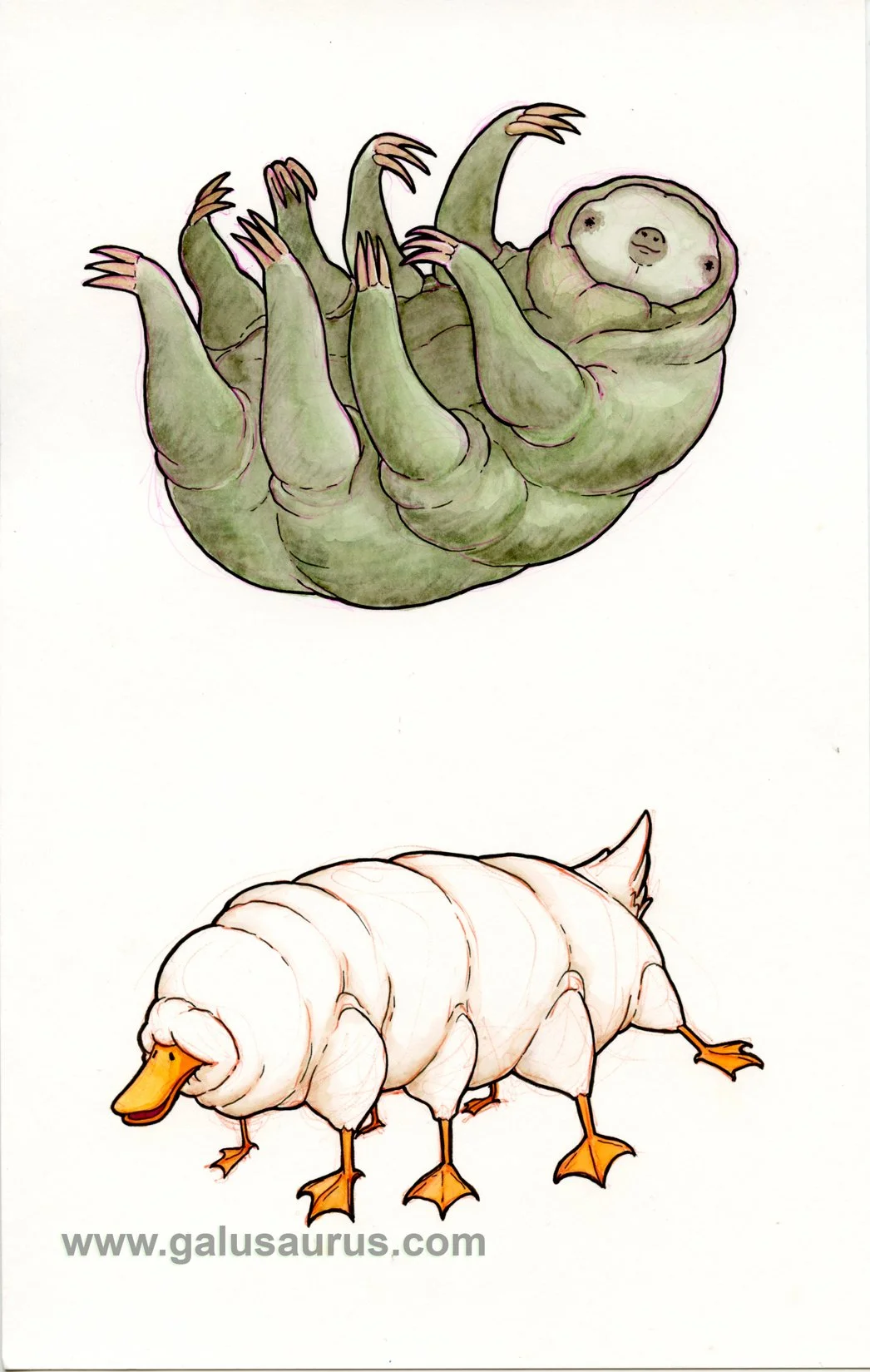 202213-tardigrade-b-WM.jpg