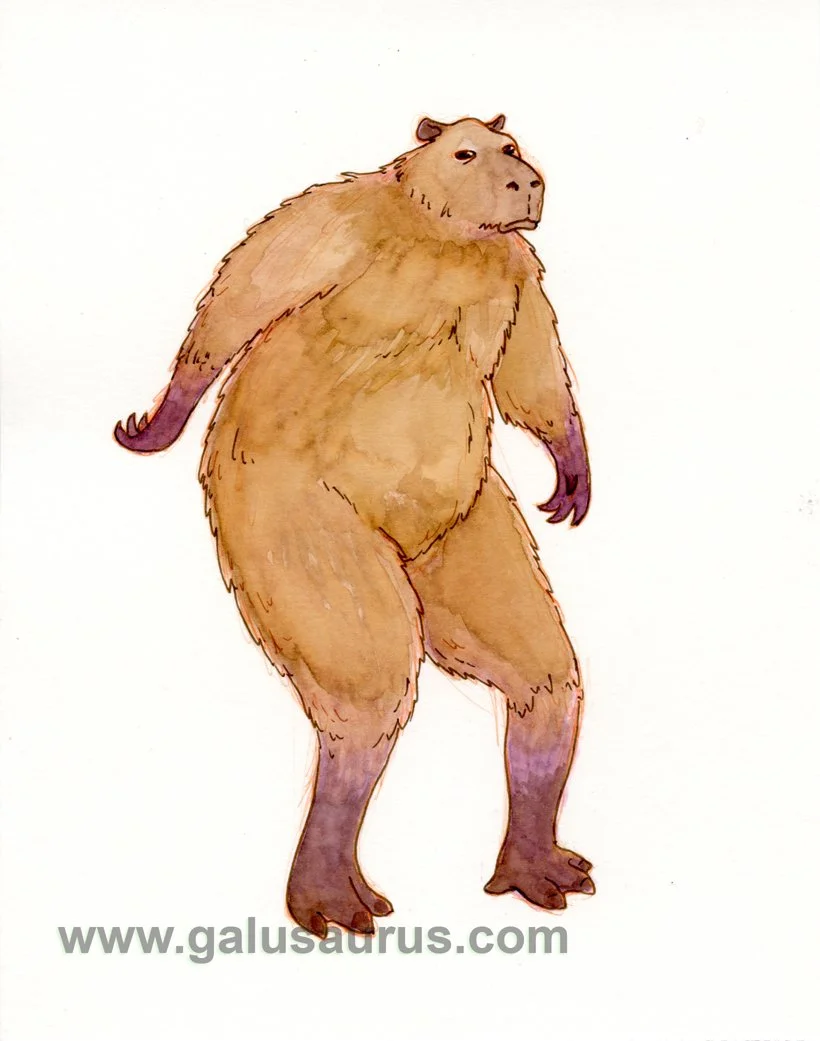 20225-capybara-b-WM.jpg