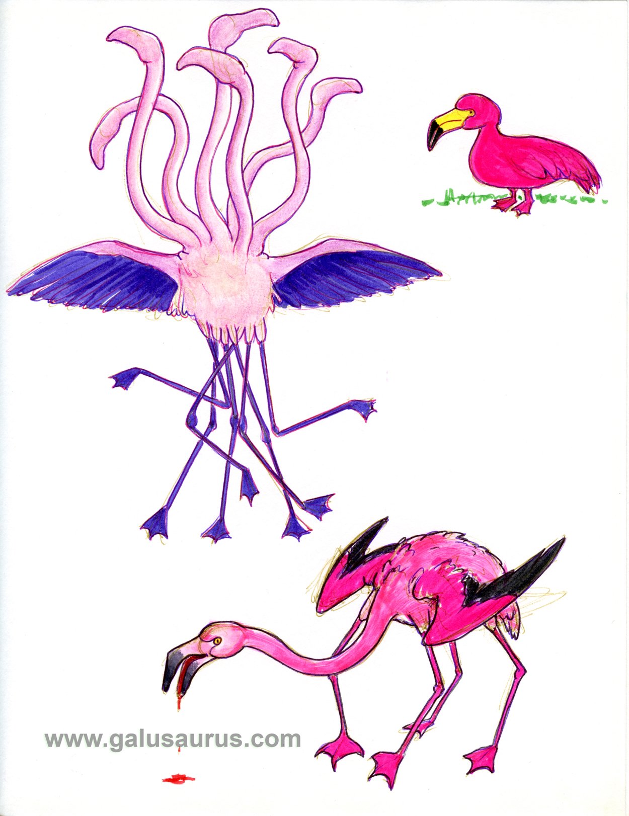 202119-flamingo1-WM.jpg