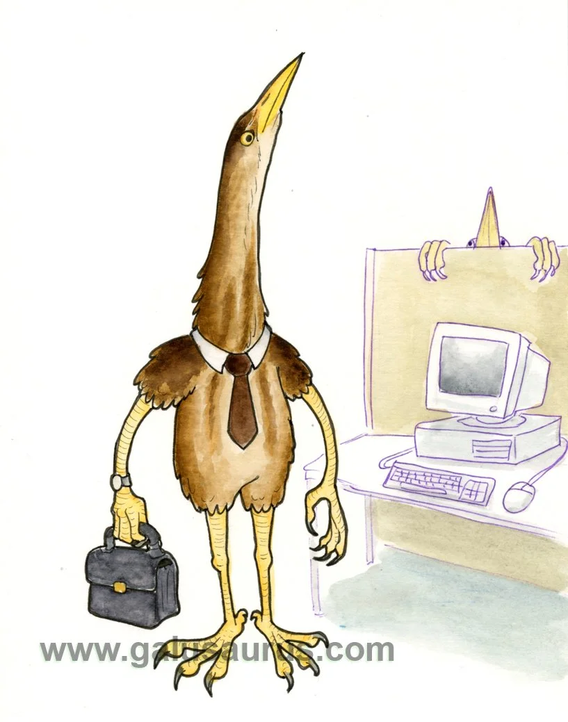 2024-07-bittern-c-WM-small.jpg