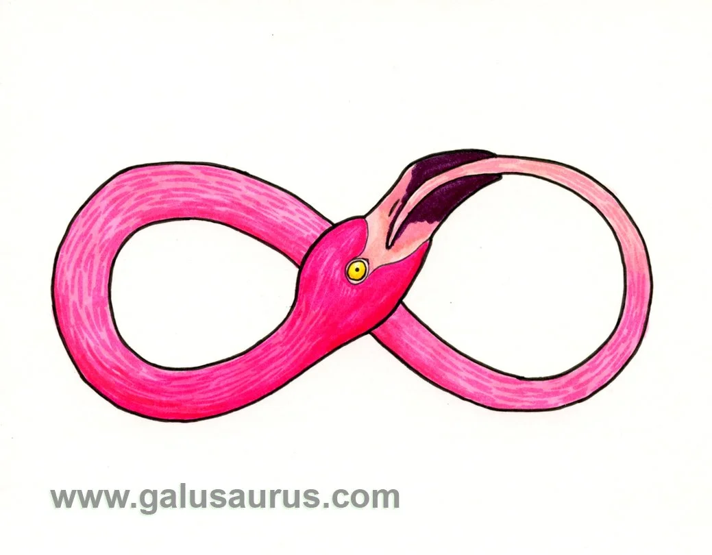 2024-18-flamingo-c-WM-small.jpg