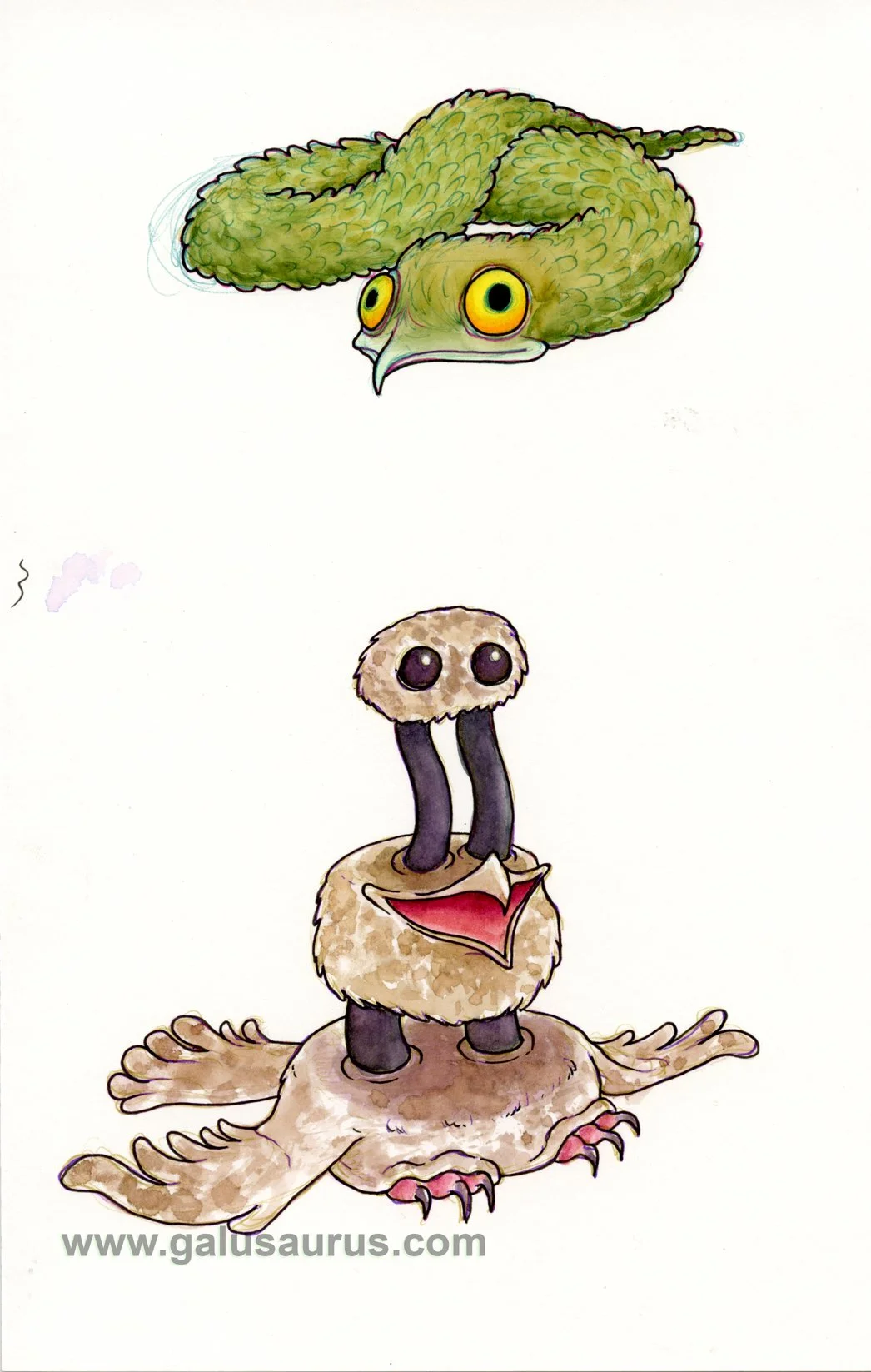 202229-potoo-a-WM.jpg
