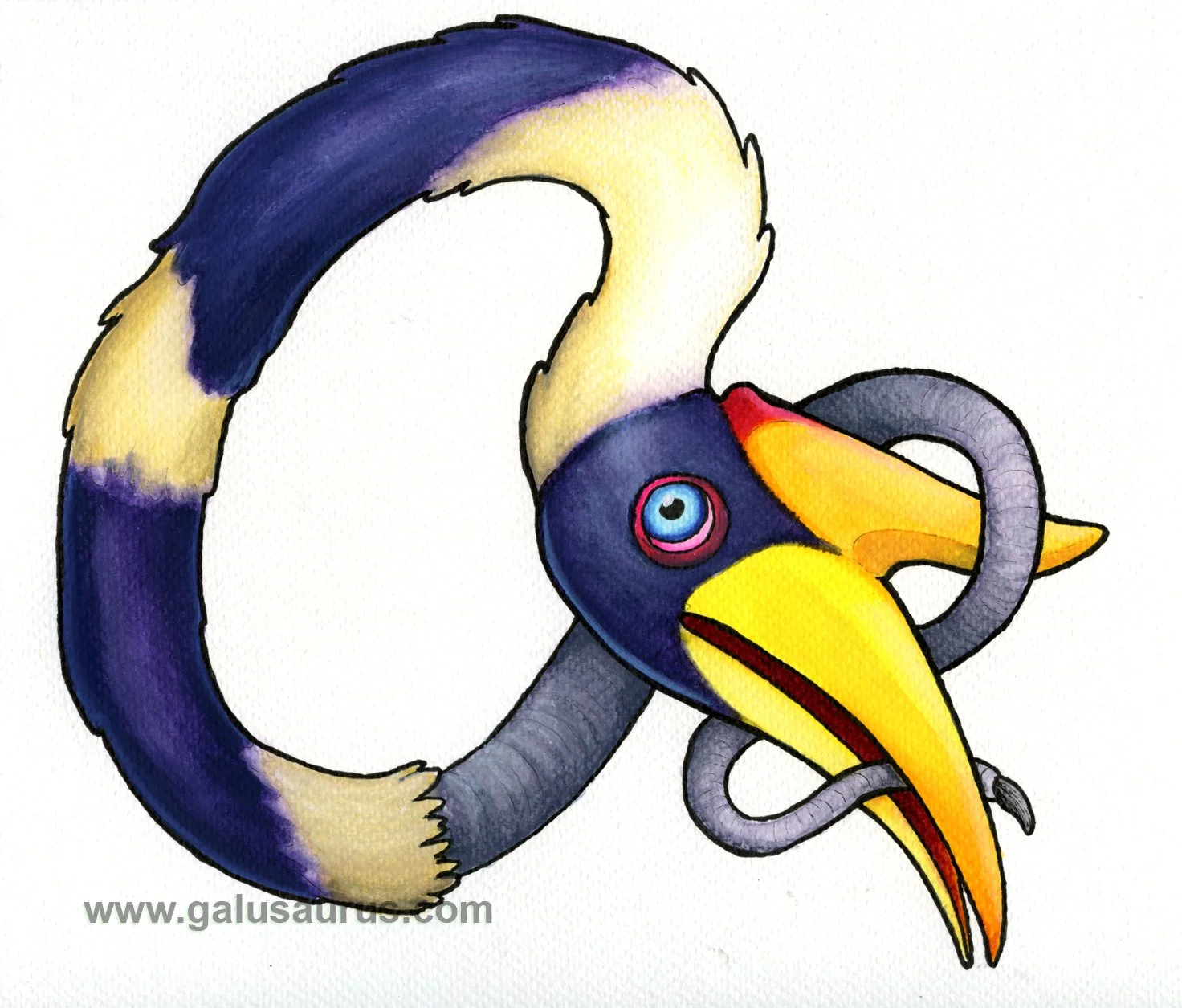 2024-23-hornbill-d-WM-small.jpg