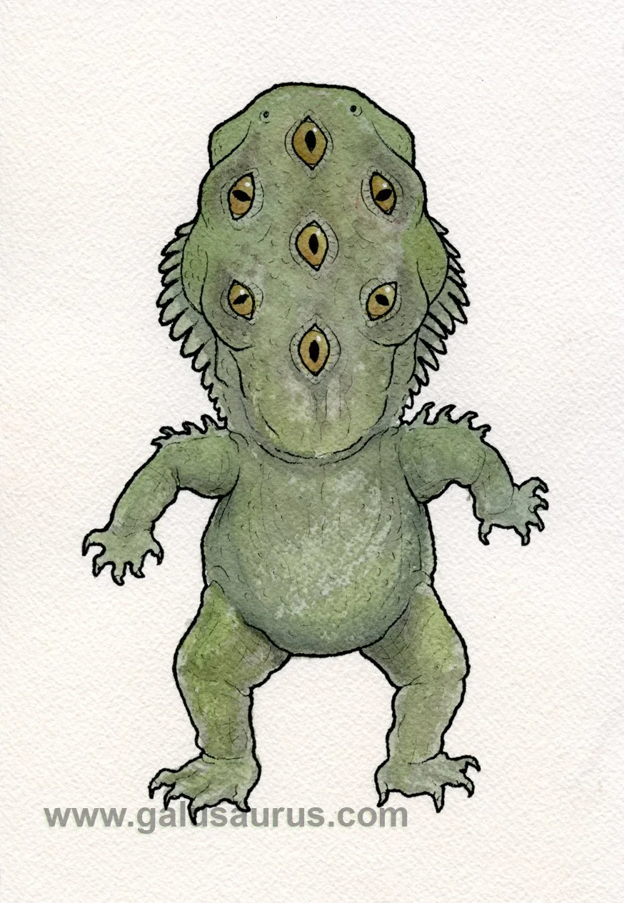 2023-28-tuatara-b-WM-small.jpg