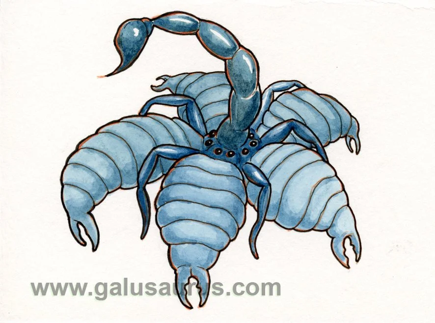 2023-14-arachnid-a-WM-small.jpg