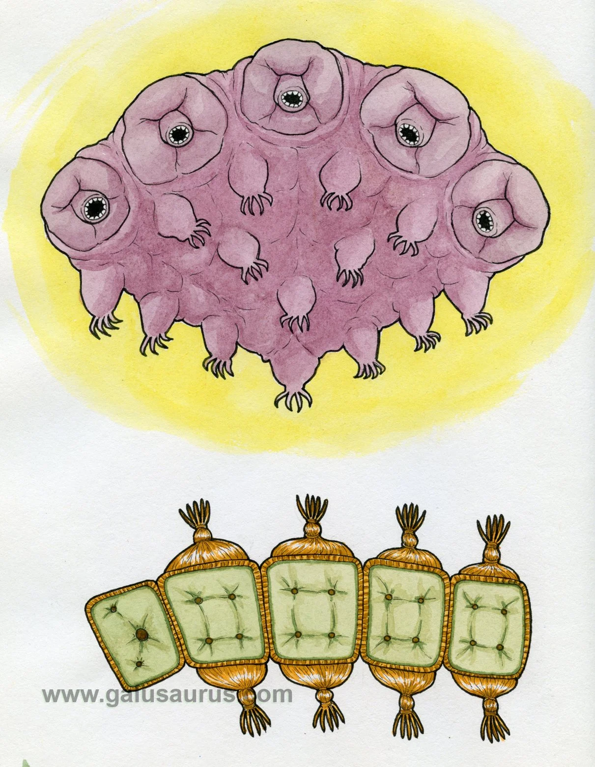 2023-25-tardigrade-b-WM-small.jpg