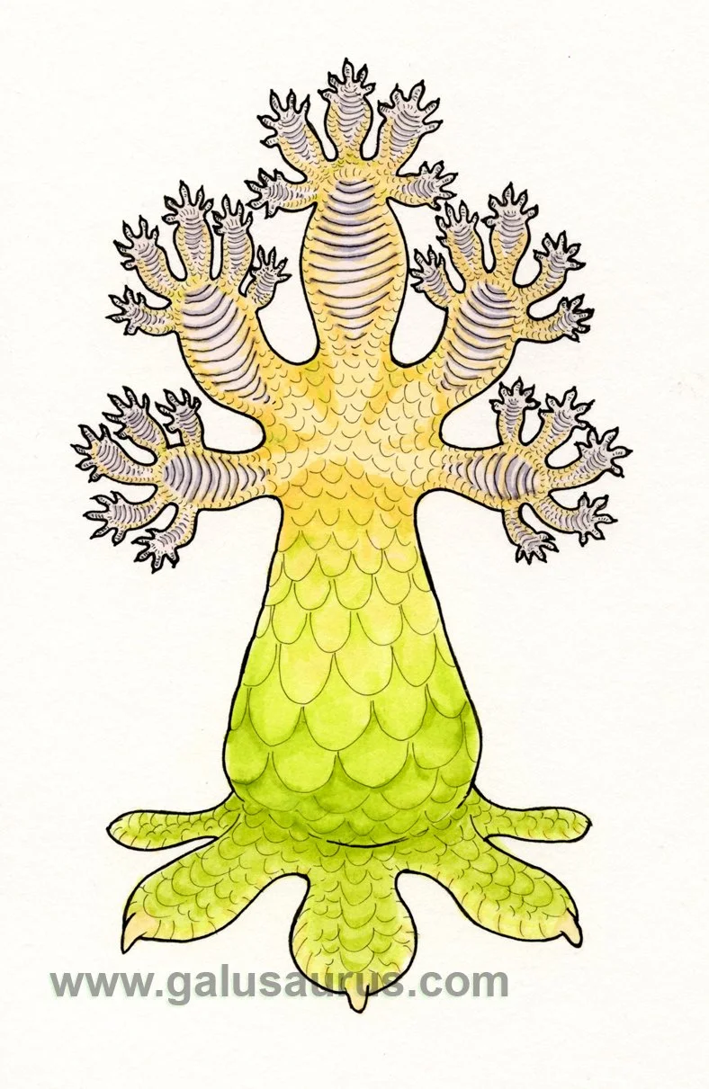2023-20-gecko-b-WM-small.jpg