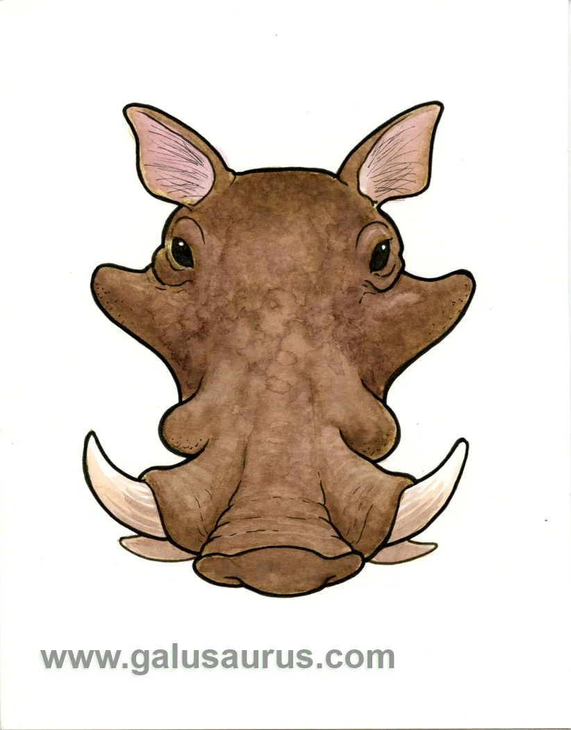 2024-12-warthog-c1-WM-small.jpg