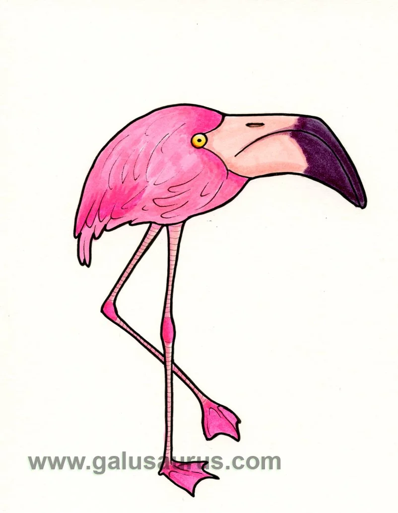 2024-18-flamingo-d1-WM-small.jpg