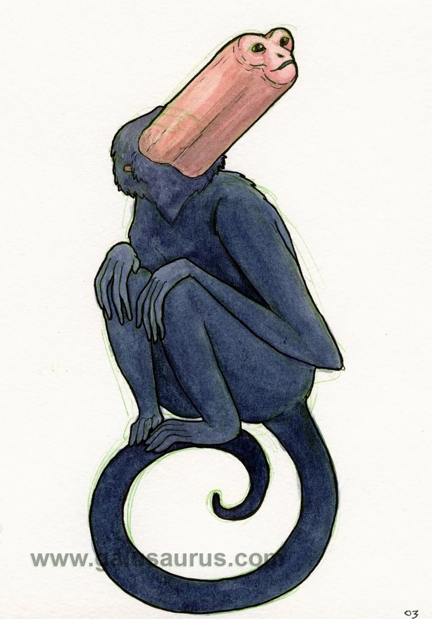 2023-27-spidermonkey-c-WM-small.jpg