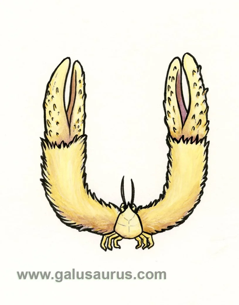 2024-21-yeticrab-a-WM-small.jpg