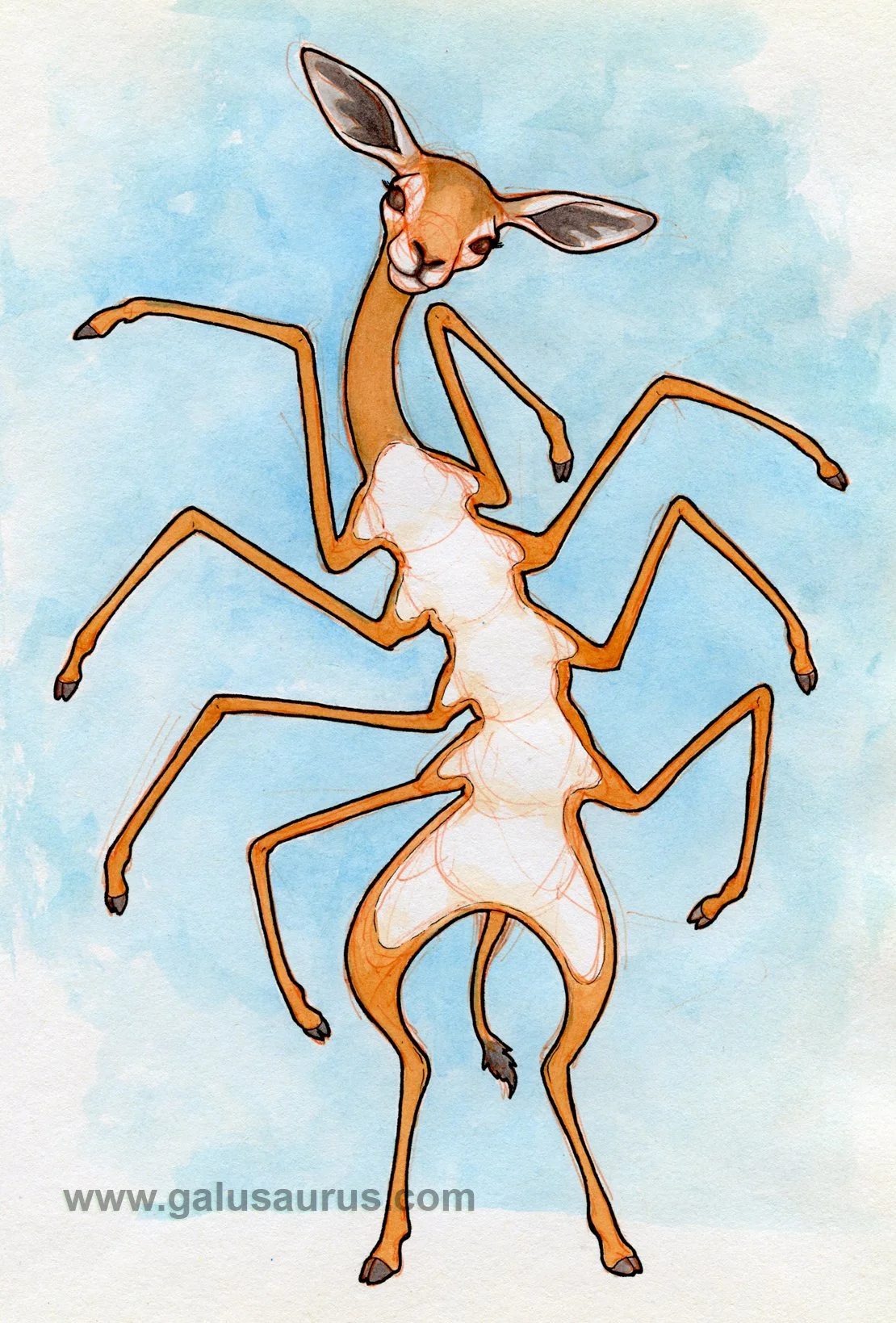 2023-24-antelope-c-WM-small.jpg