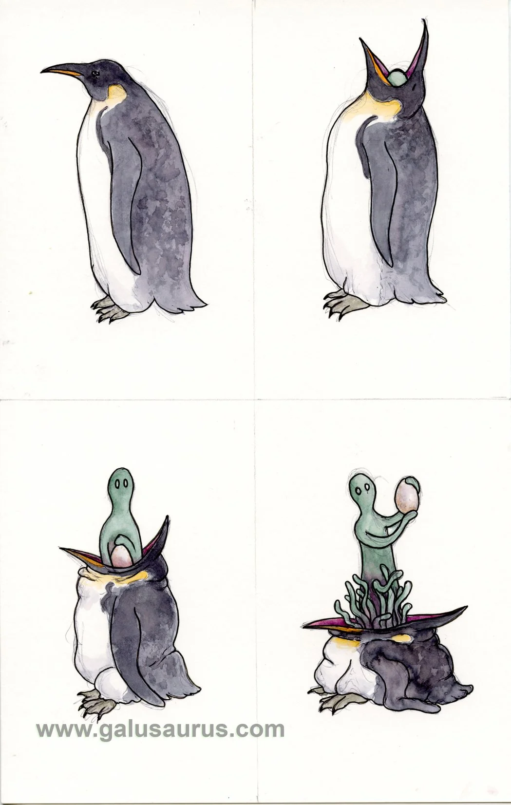 202220-penguin-a-WM.jpg