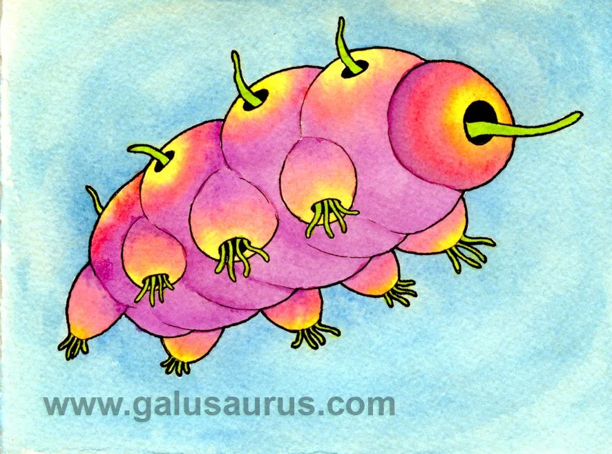2023-25-tardigrade-a-WM-small.jpg