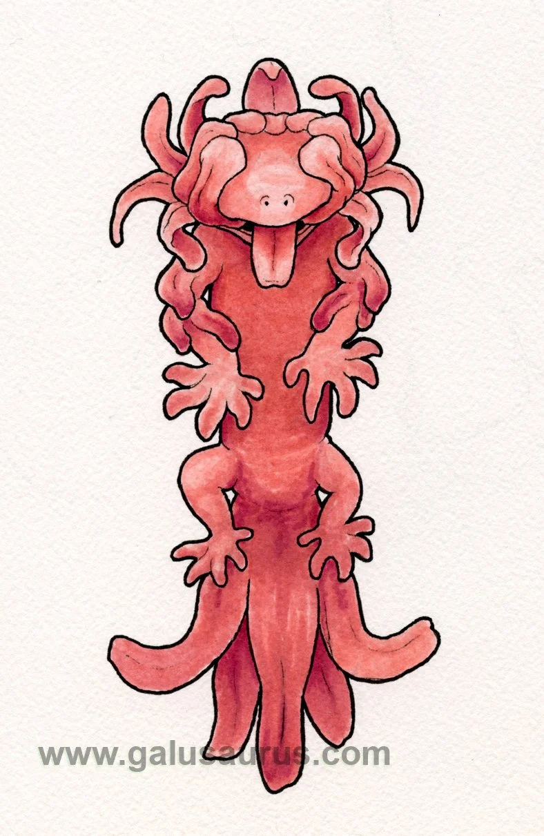 2023-20-gecko-a-WM-small.jpg